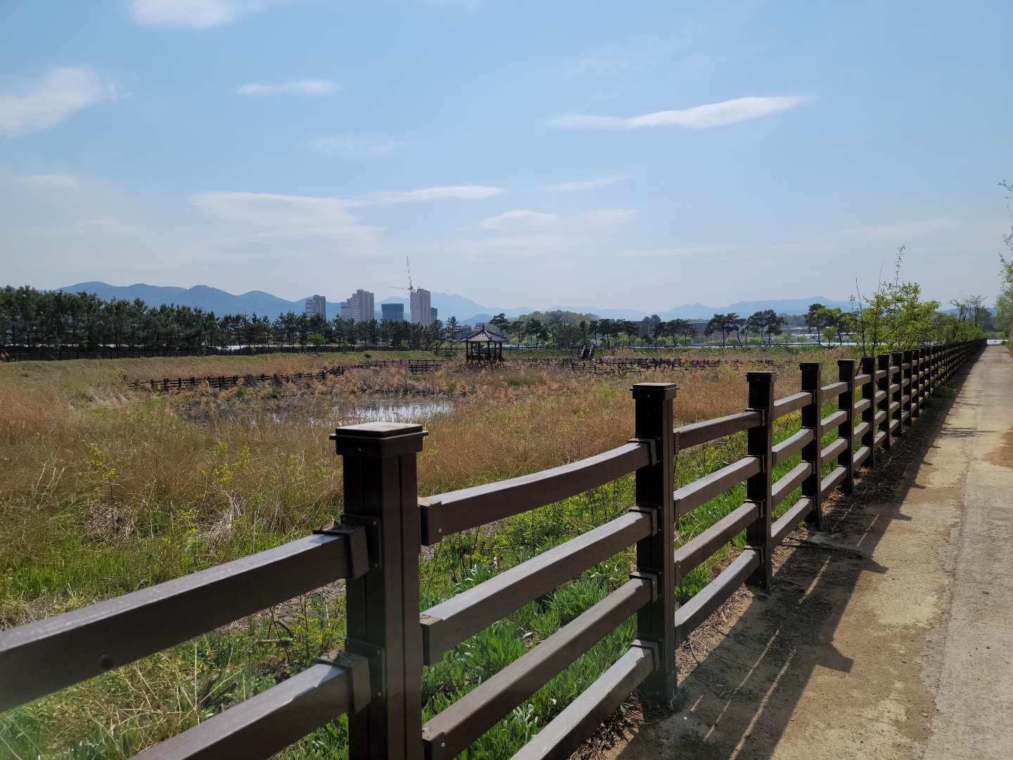 성주읍 예산리 전망좋은 땅 사진 - 11