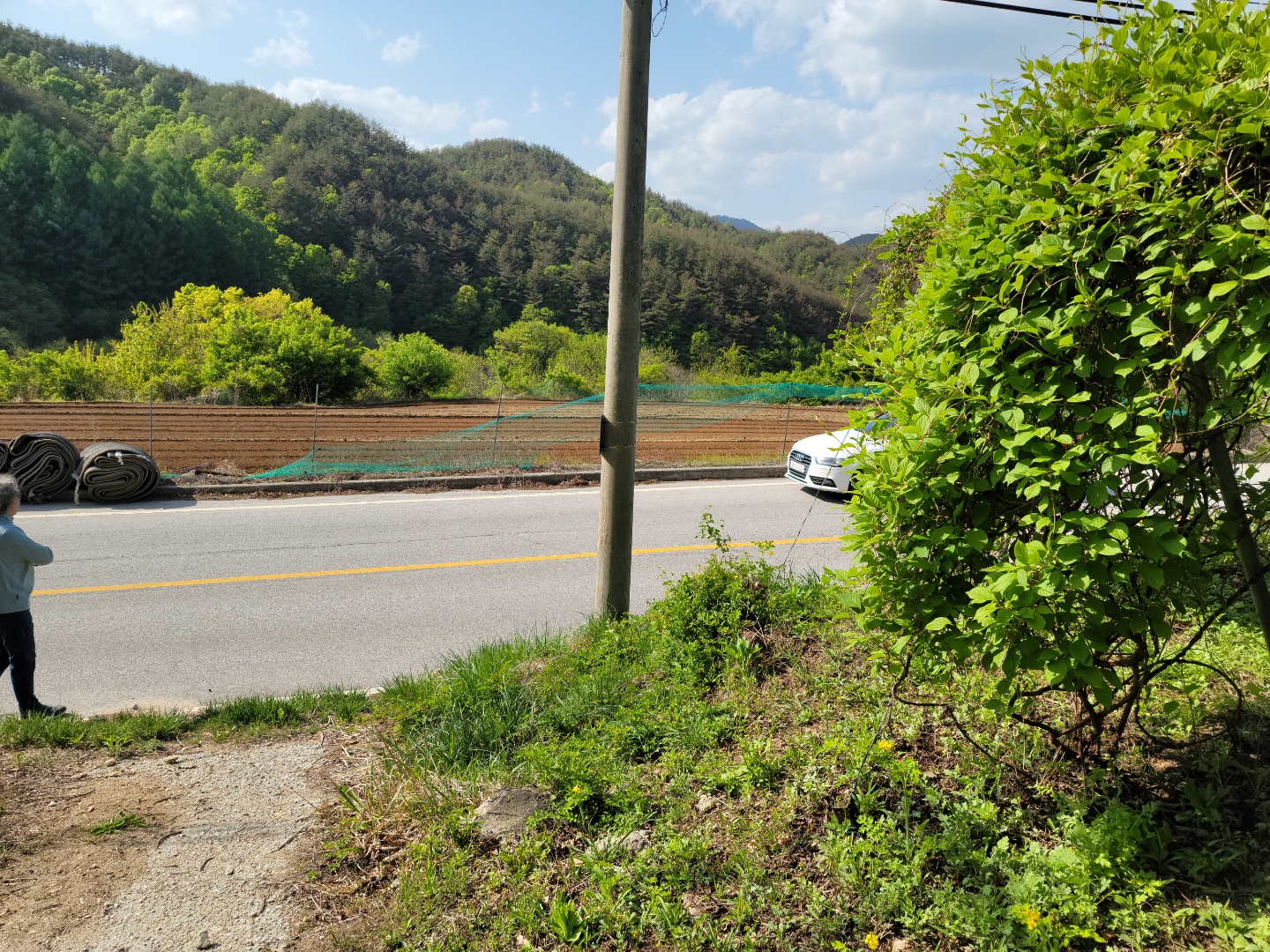 주택지 오미자밭 사진 - 6