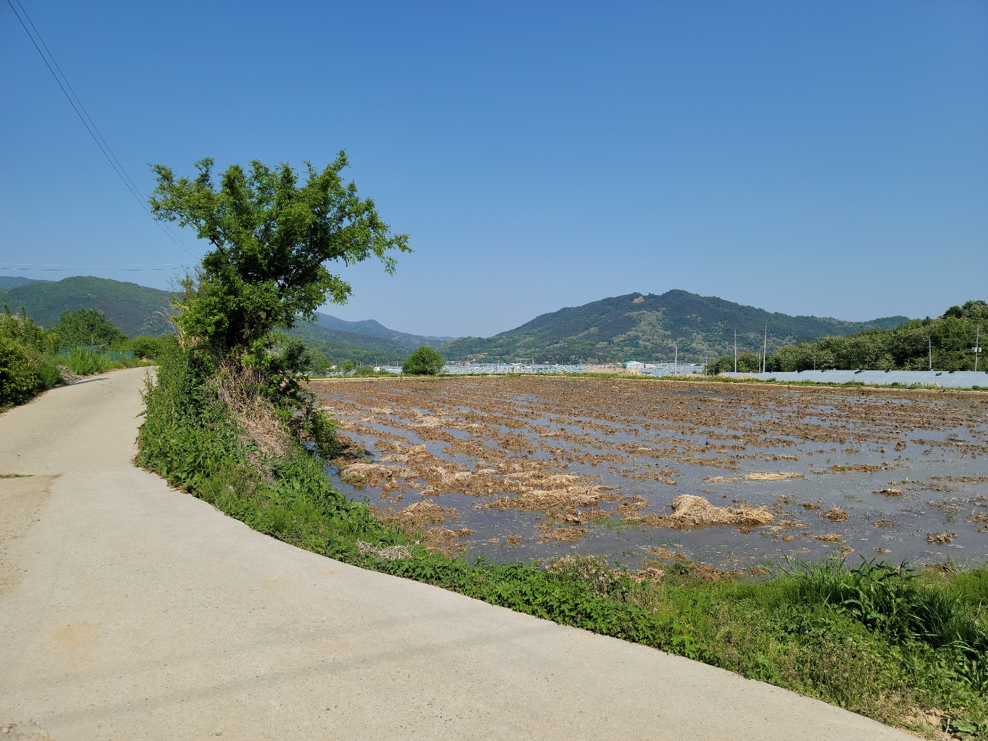 다용도 관리지역 매매 사진 - 2