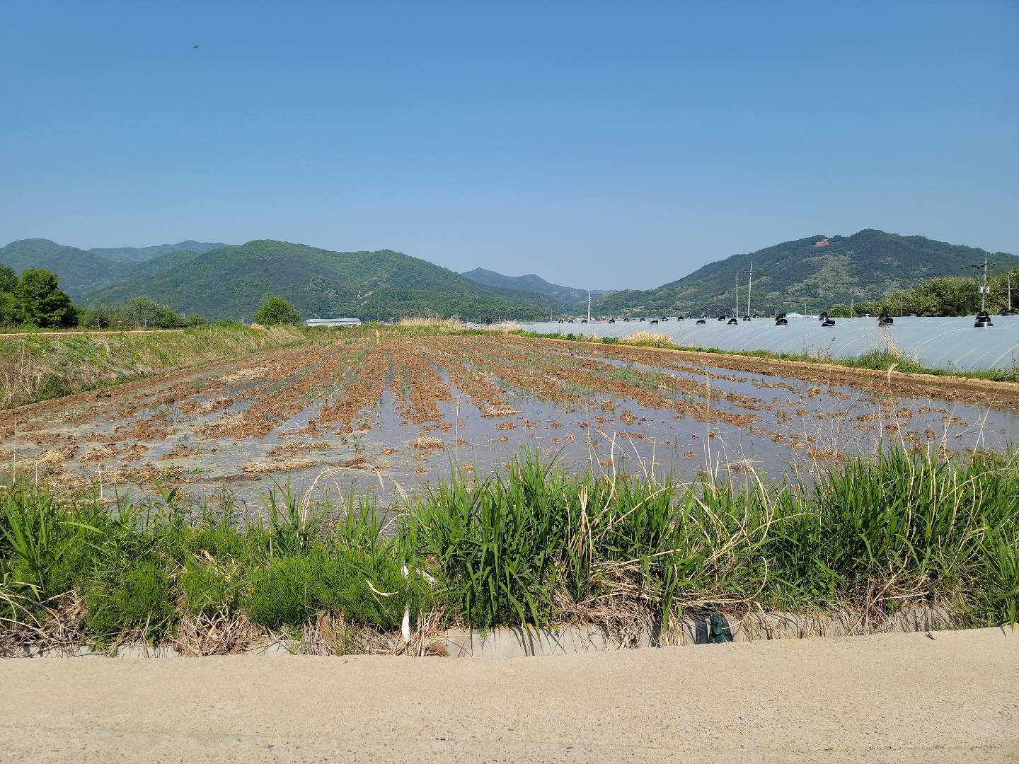 다용도 관리지역 매매 사진 - 3