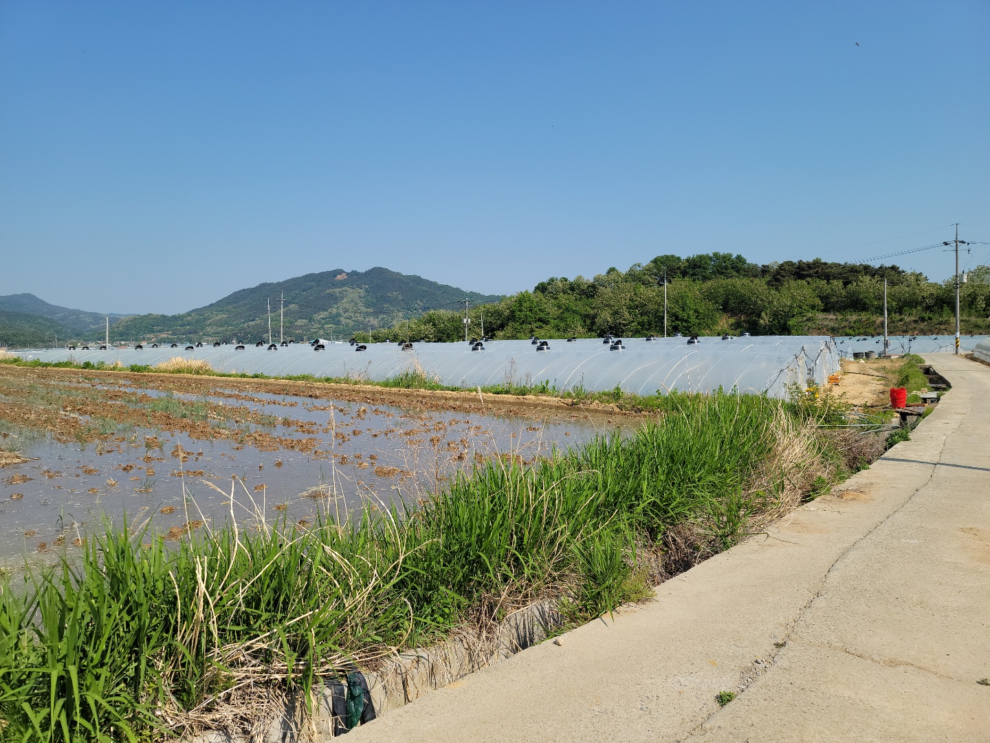 다용도 관리지역 매매 사진 - 6