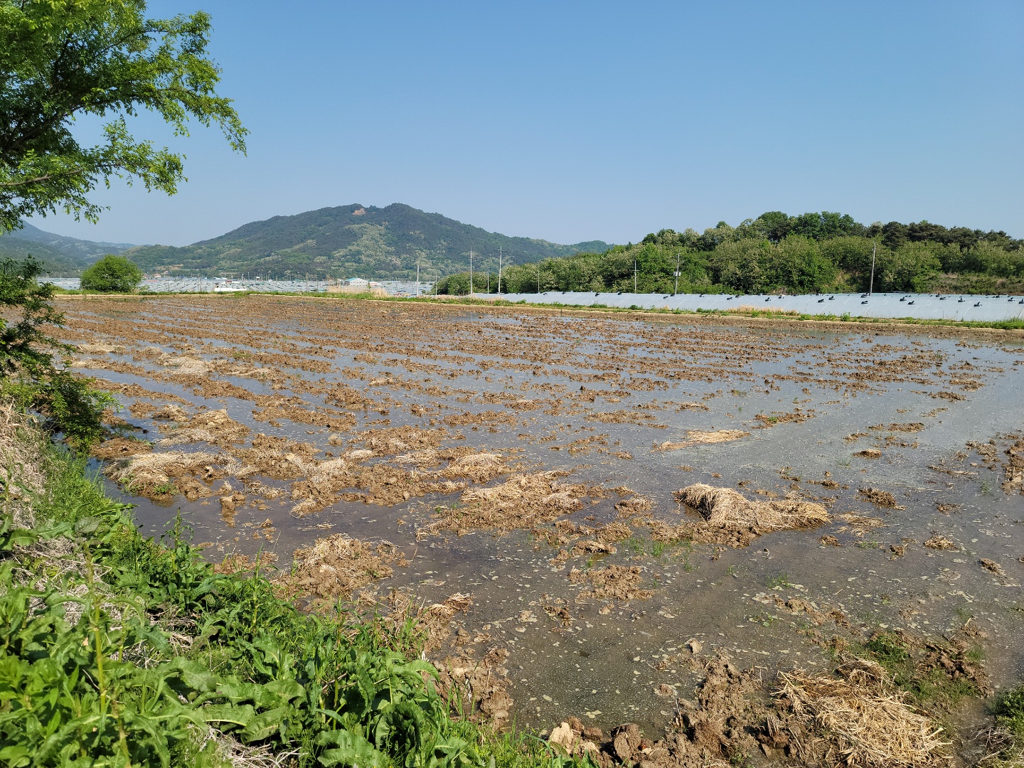 다용도 관리지역 매매 사진 - 8