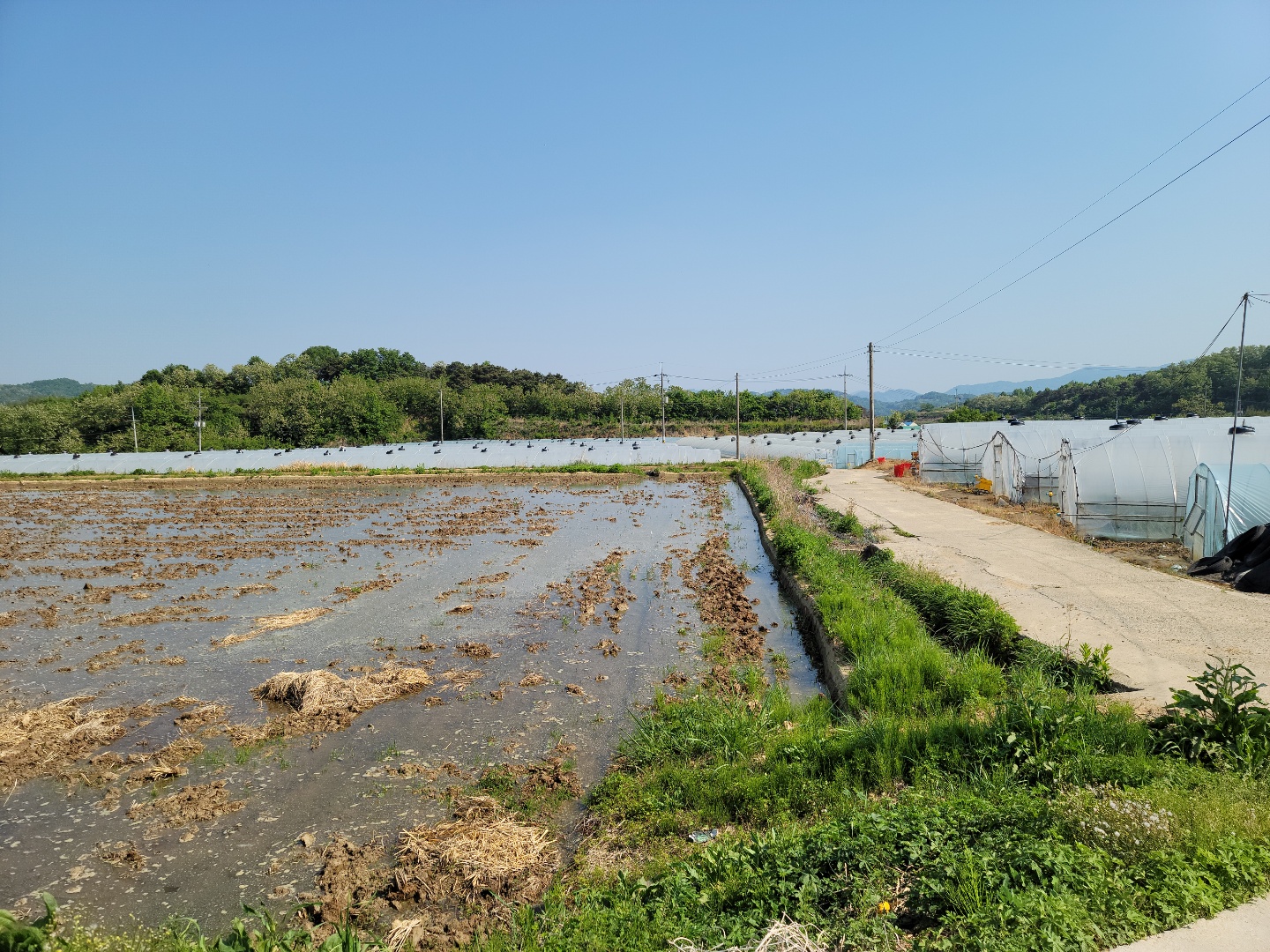 다용도 관리지역 매매 사진 - 9