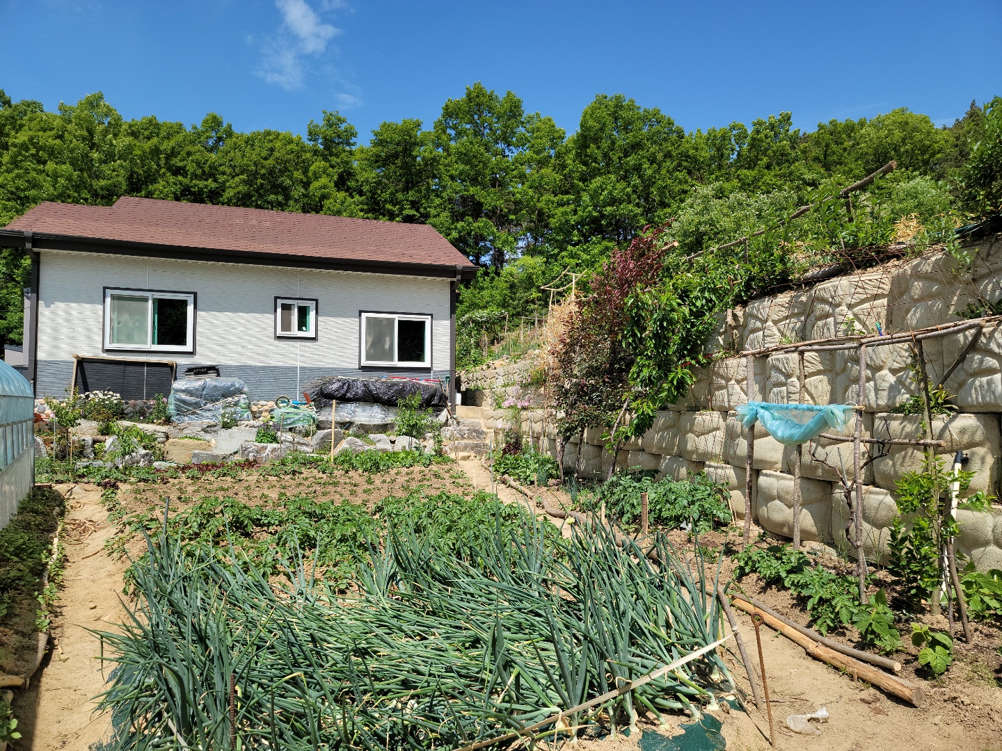 공기좋은 전원주택 사진 - 6