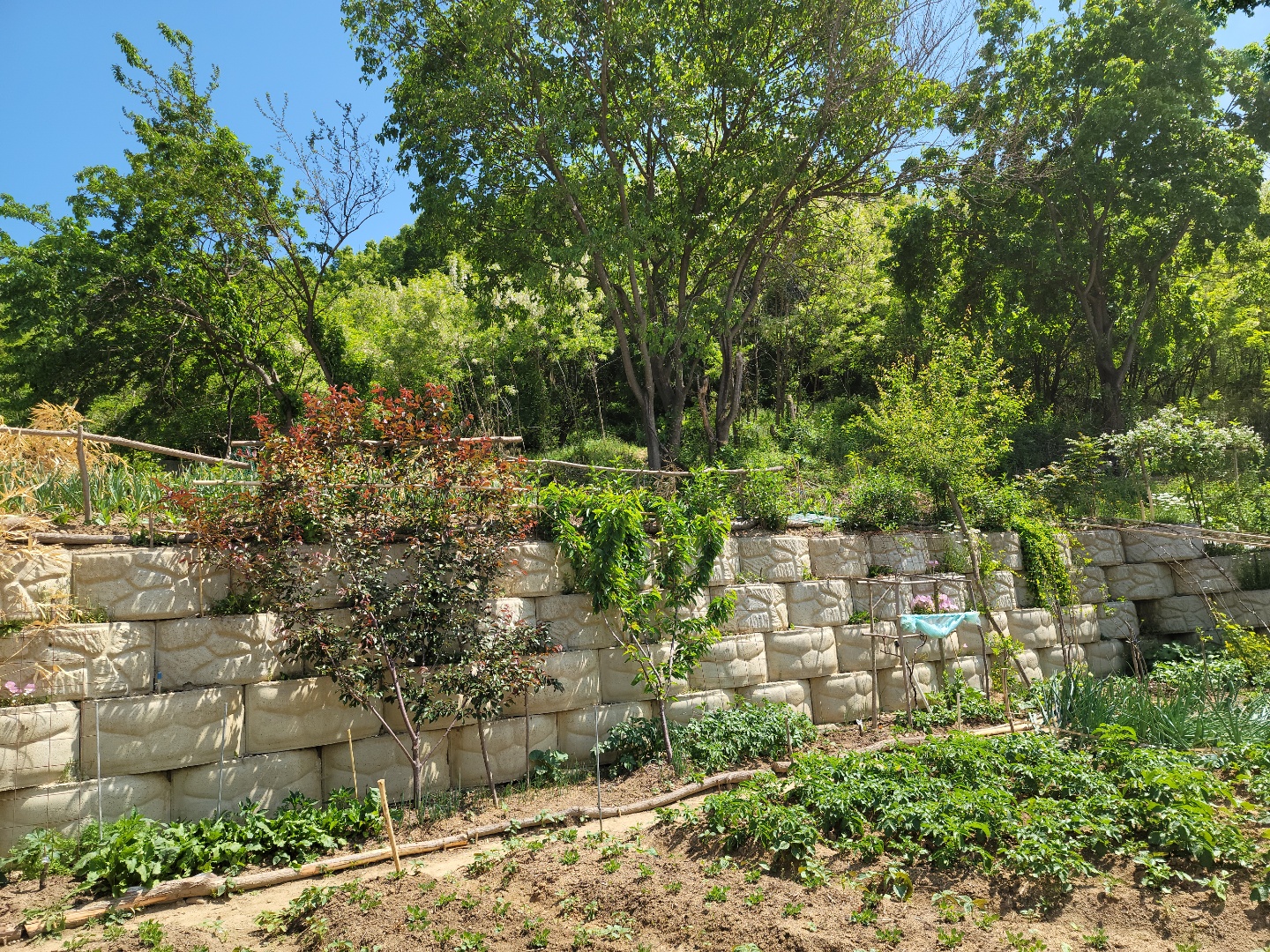 공기좋은 전원주택 사진 - 14