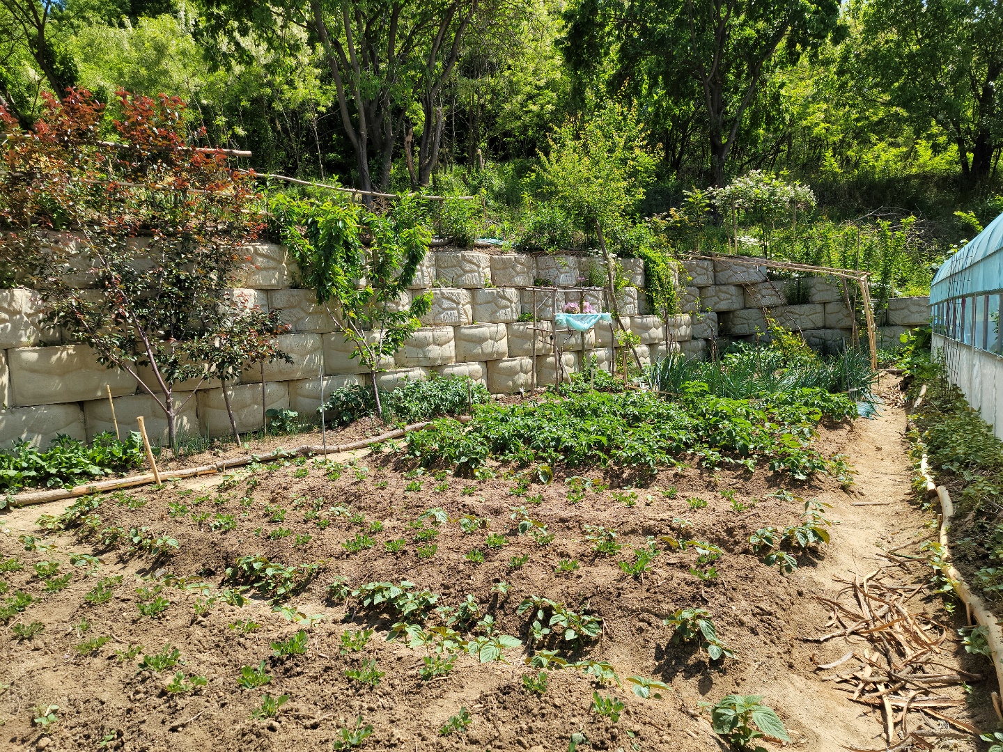 공기좋은 전원주택 사진 - 13