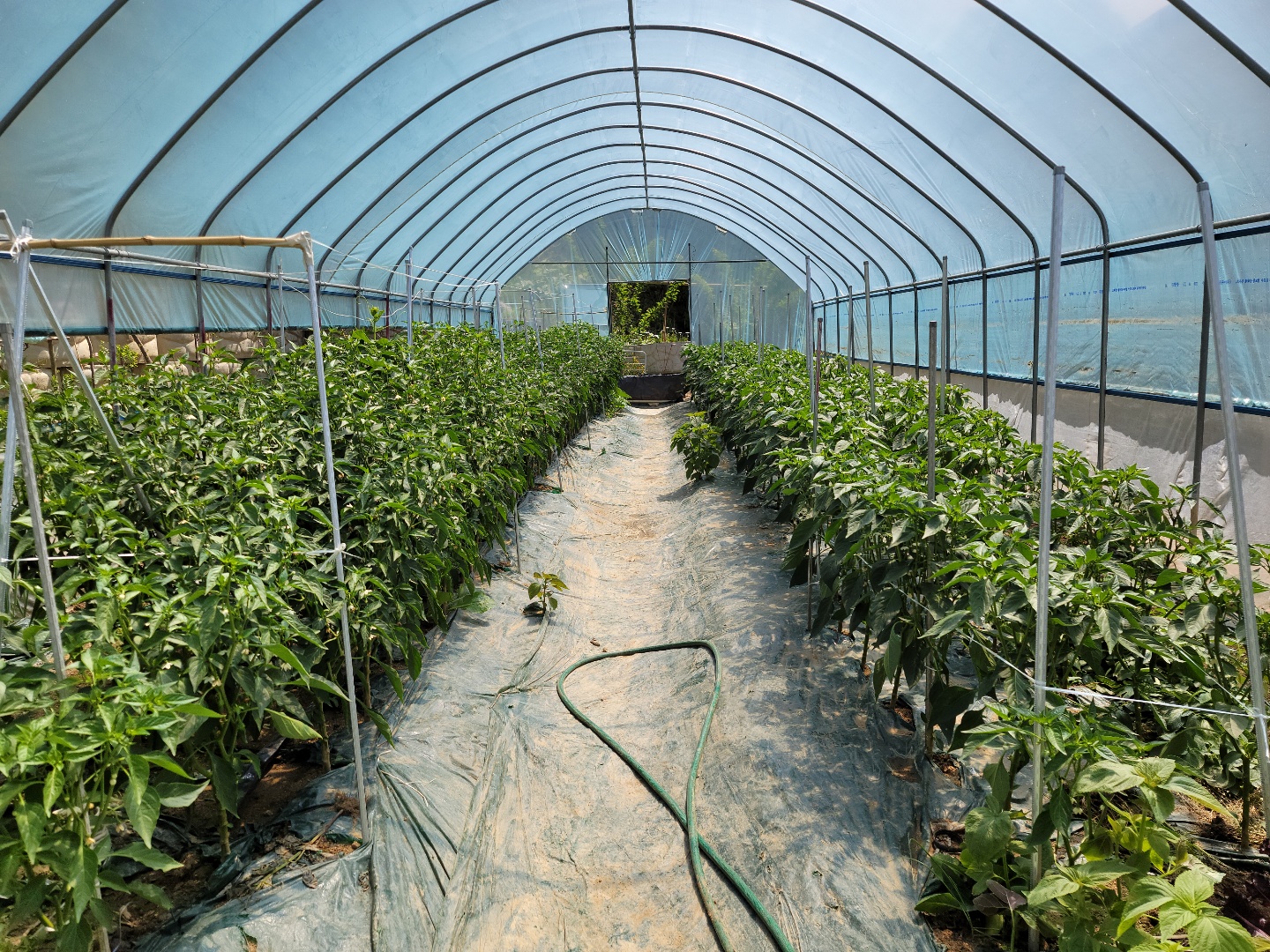 공기좋은 전원주택 사진 - 12