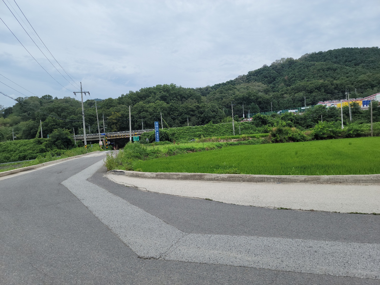 위치좋은 농지 사진 - 7