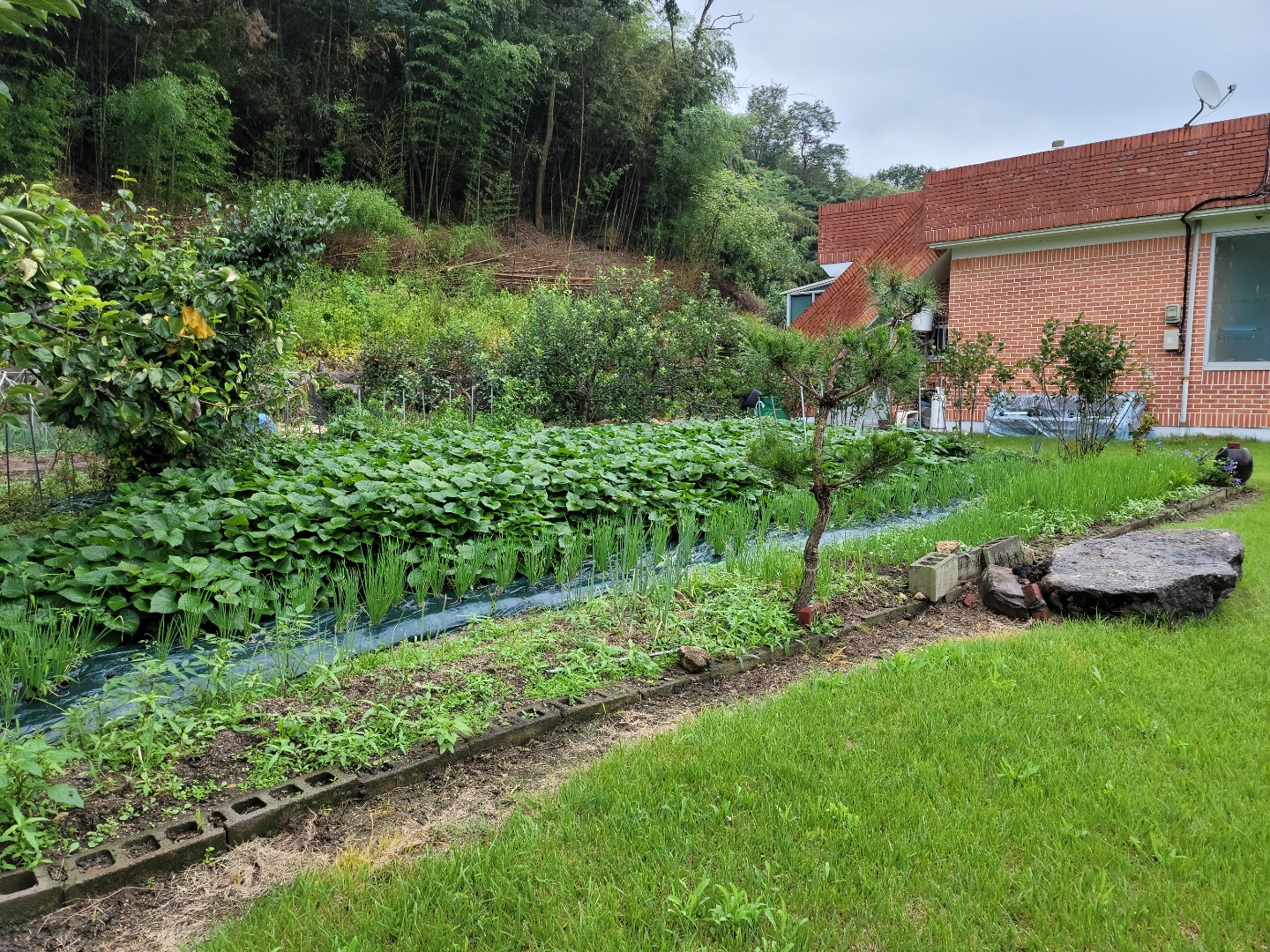 산자락주택+텃밭매매 사진 - 5