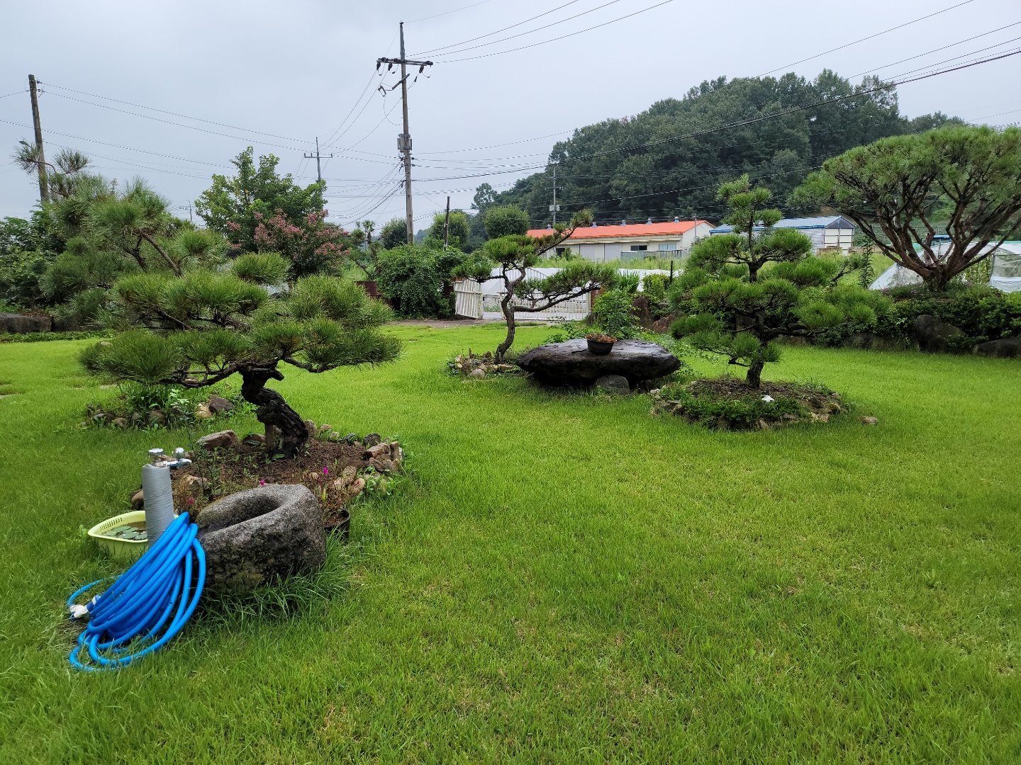 산자락주택+텃밭매매 사진 - 6