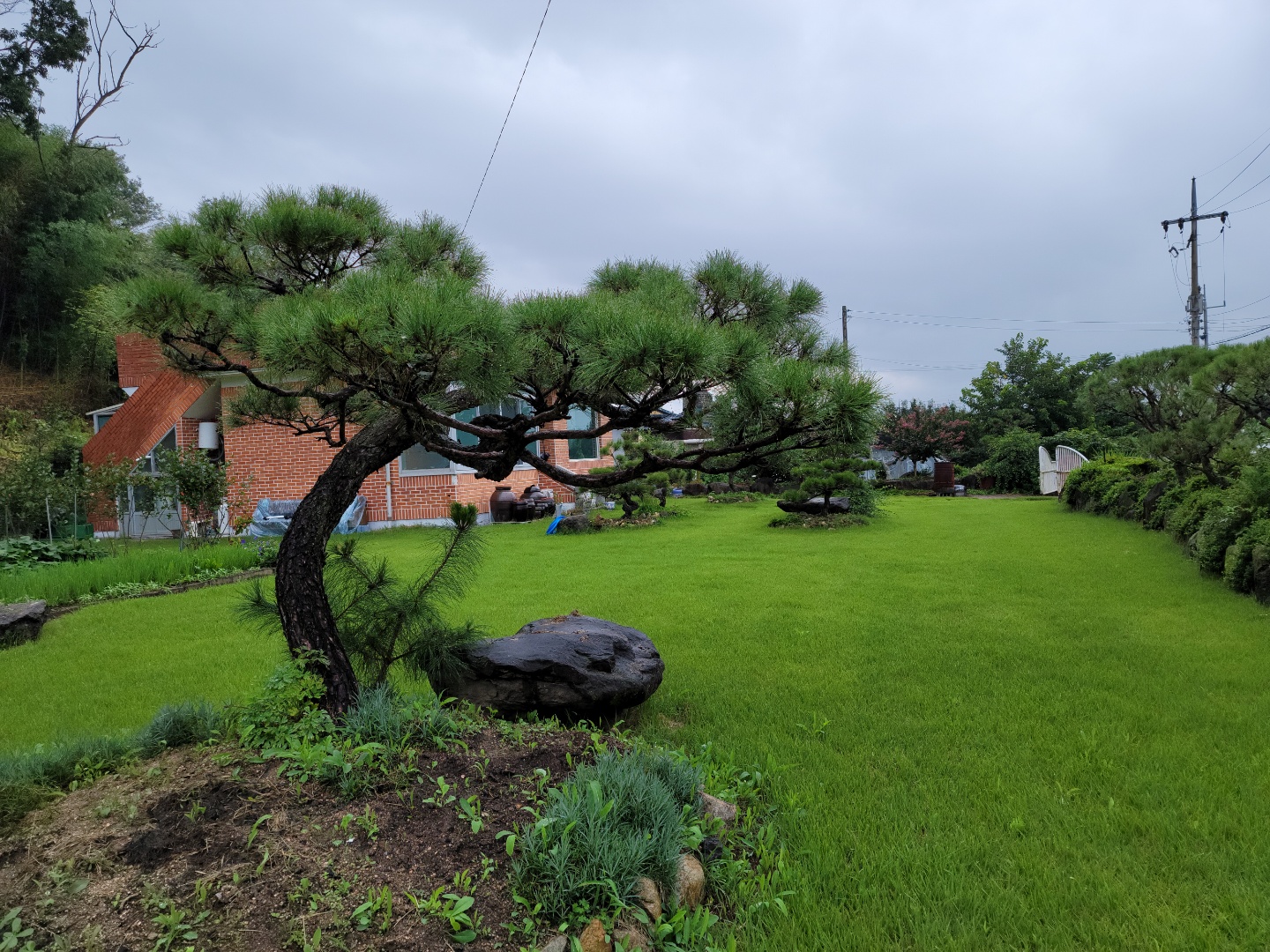 산자락주택+텃밭매매 사진 - 8