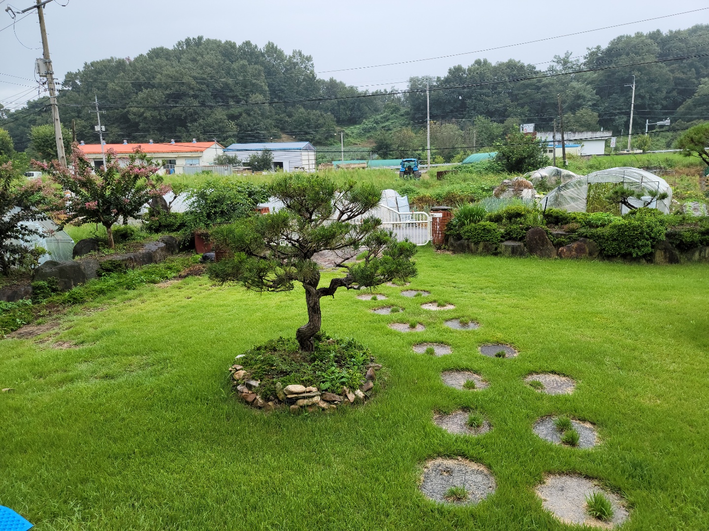 산자락주택+텃밭매매 사진 - 13