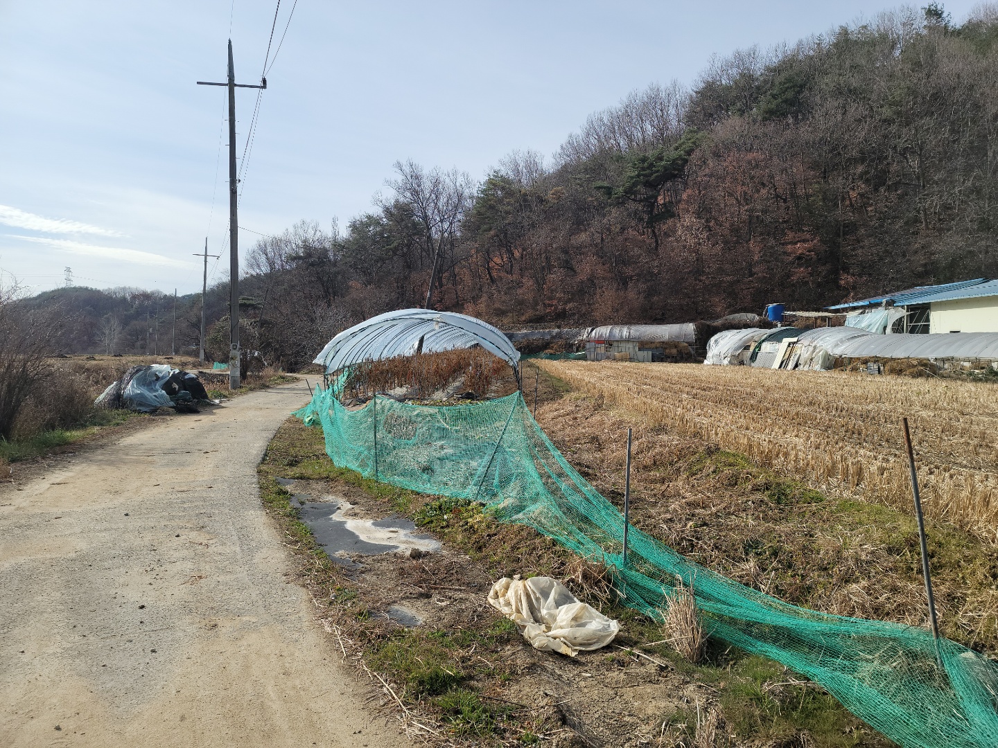 공기좋은관리지역 매매 사진 - 7