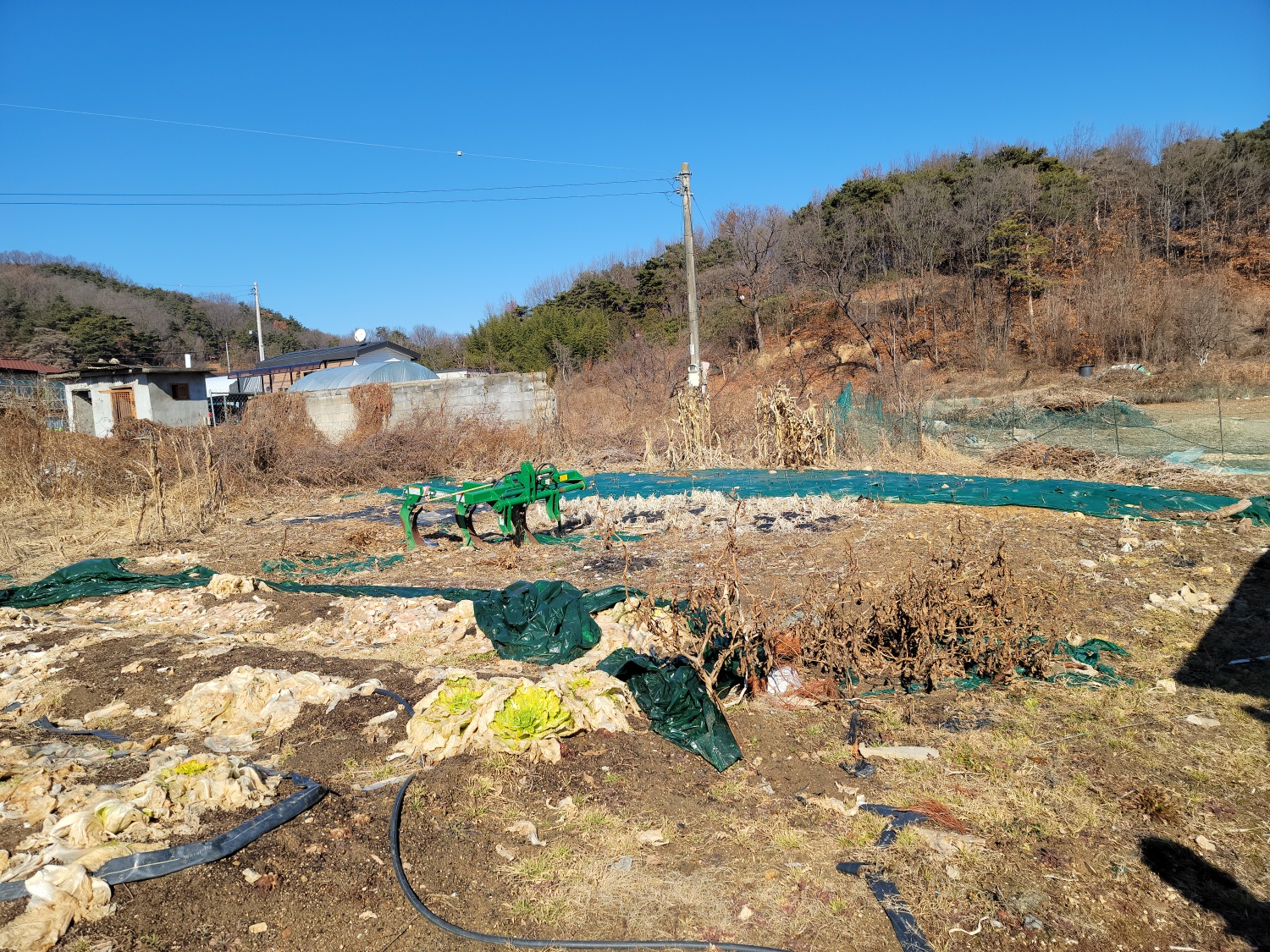성주읍 근처 나대지 사진 - 2