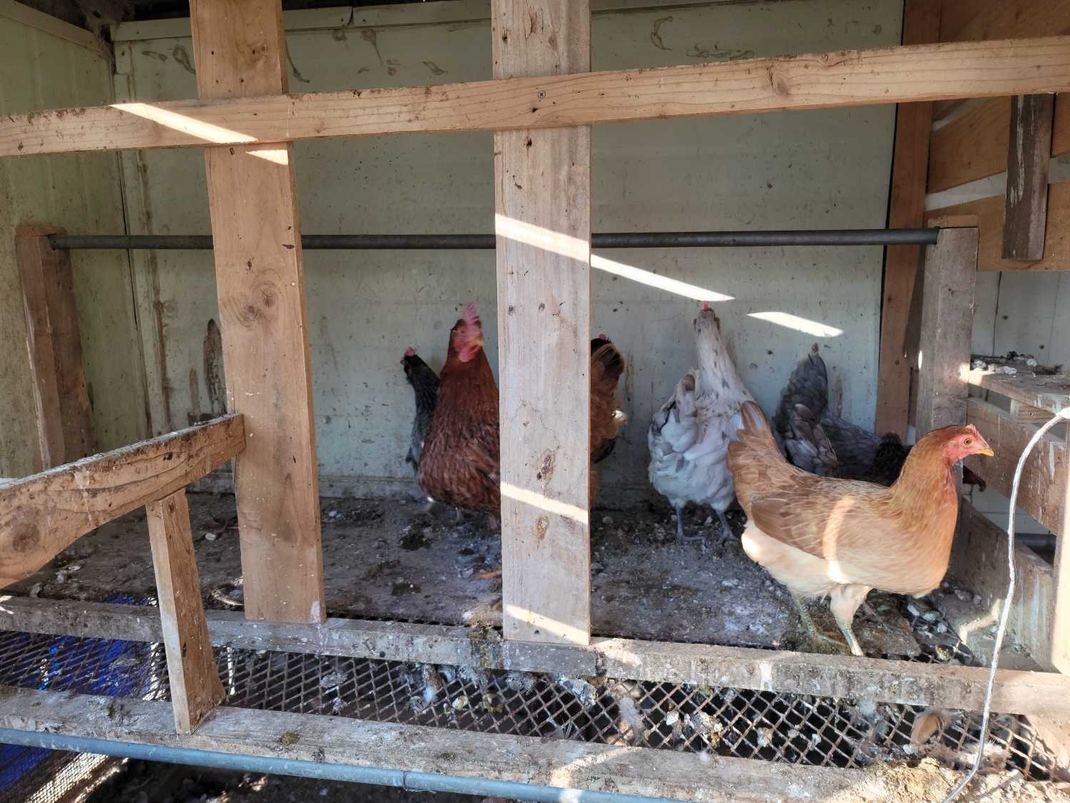 전망좋은 전원주택 사진 - 16