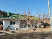 감나무밭이 있는 촌집 - 2