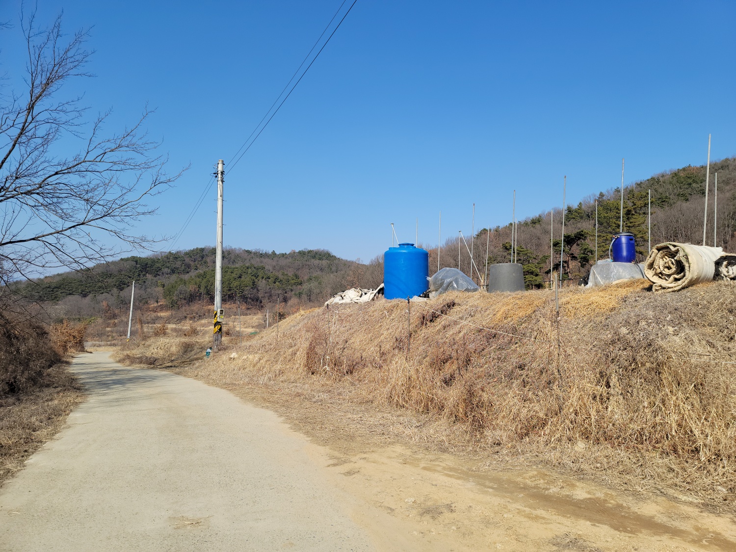 성주읍 텃밭주택지 사진 - 14