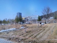 김천혁신도시 대지매매 - 3