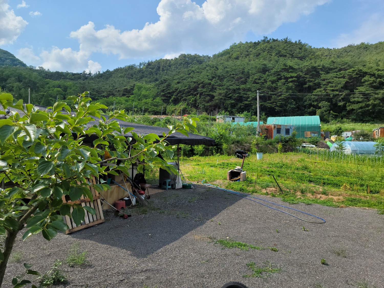 초전면 공기좋은쉼터 사진 - 2
