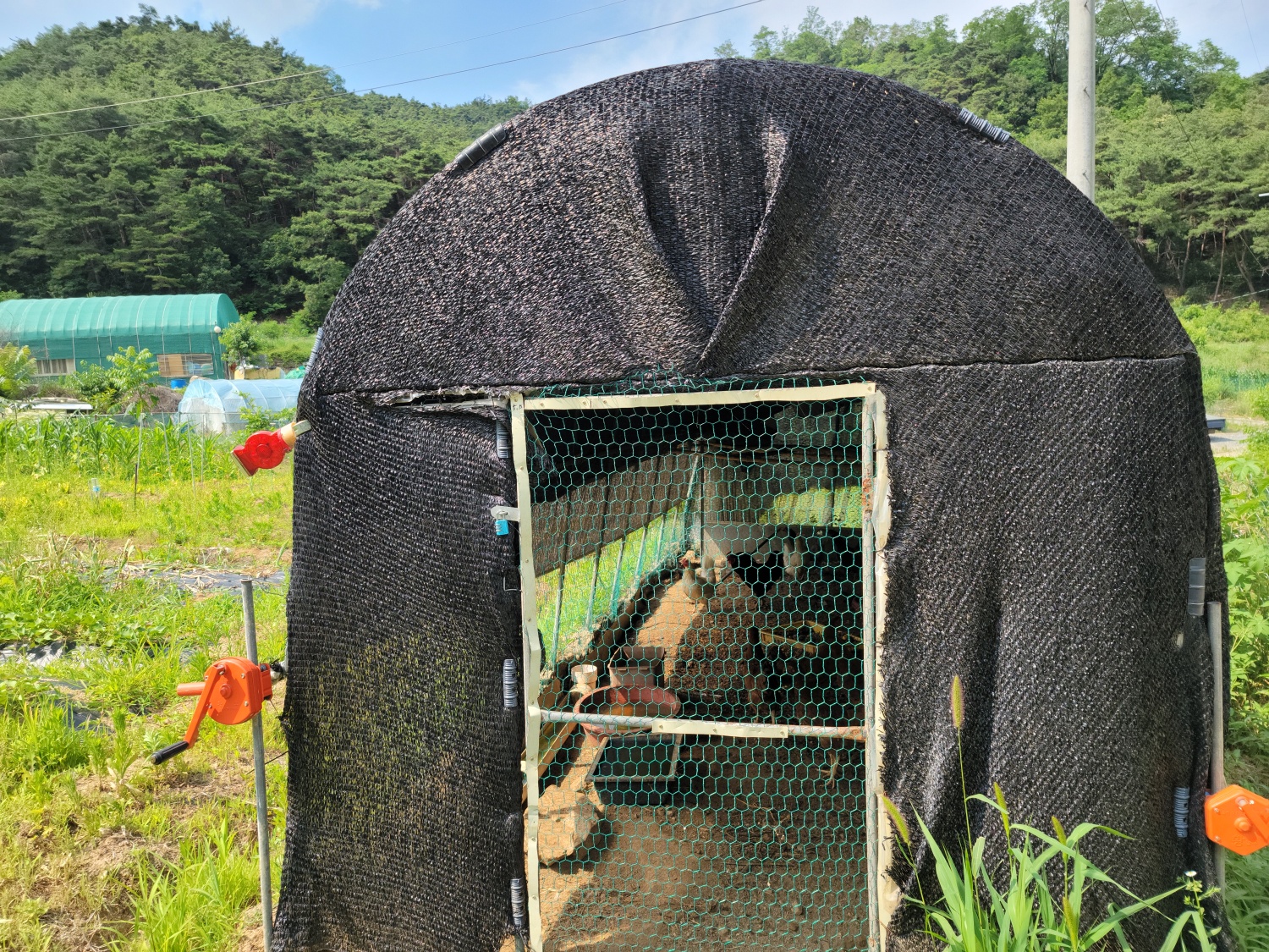 초전면 공기좋은쉼터 사진 - 9
