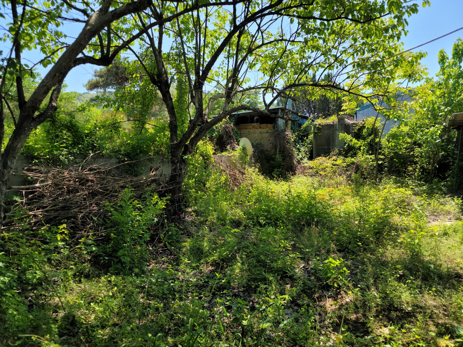 선남면 싼촌집 사진 - 5