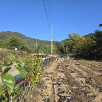 전망좋은 청정지역 - 1