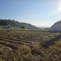 전망좋은 청정지역 - 12