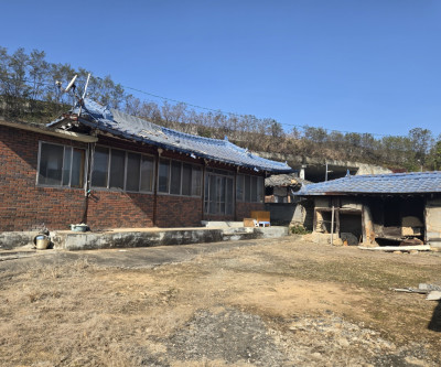 성주군 초전면 마당넓은 촌집매매 매물 이미지