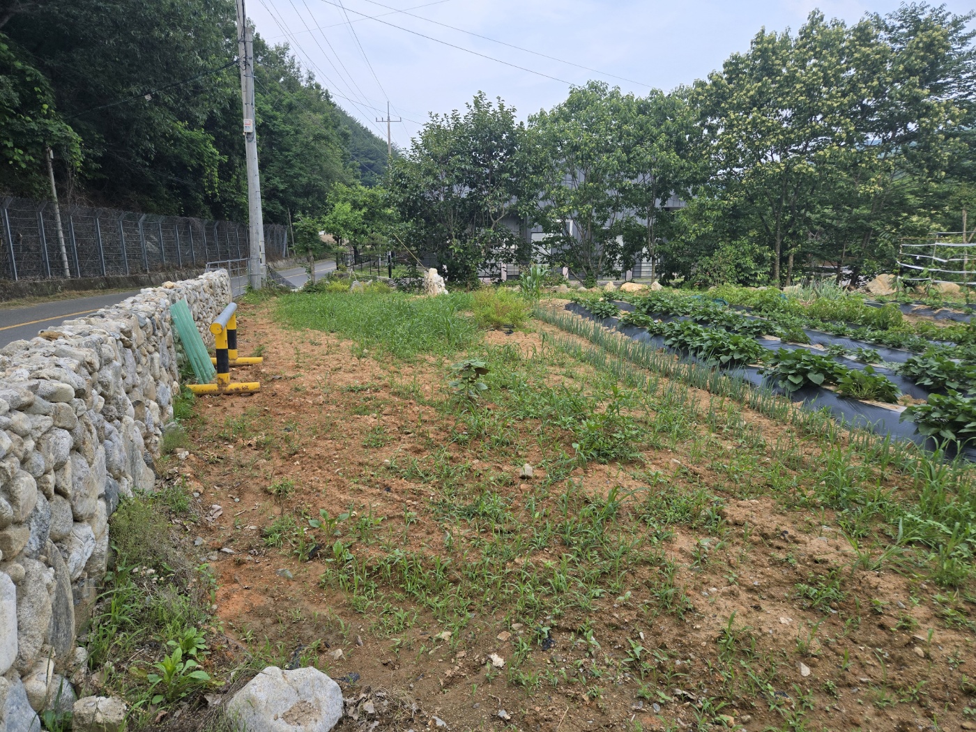 맑은 계곡물 콸콸콸 사진 - 9