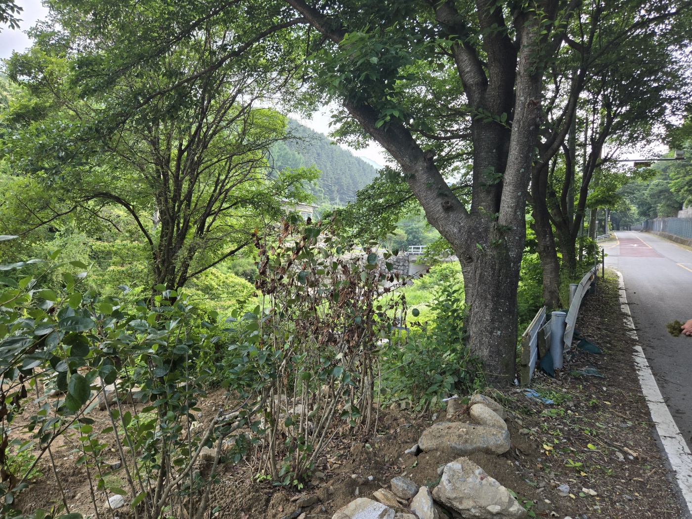 맑은 계곡물 콸콸콸 사진 - 12