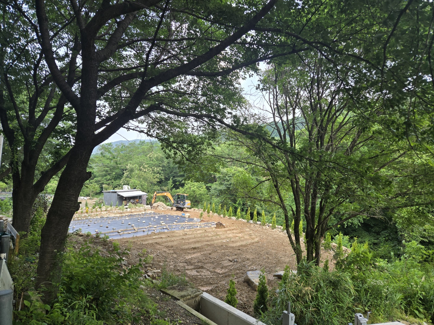 맑은 계곡물 콸콸콸 사진 - 17
