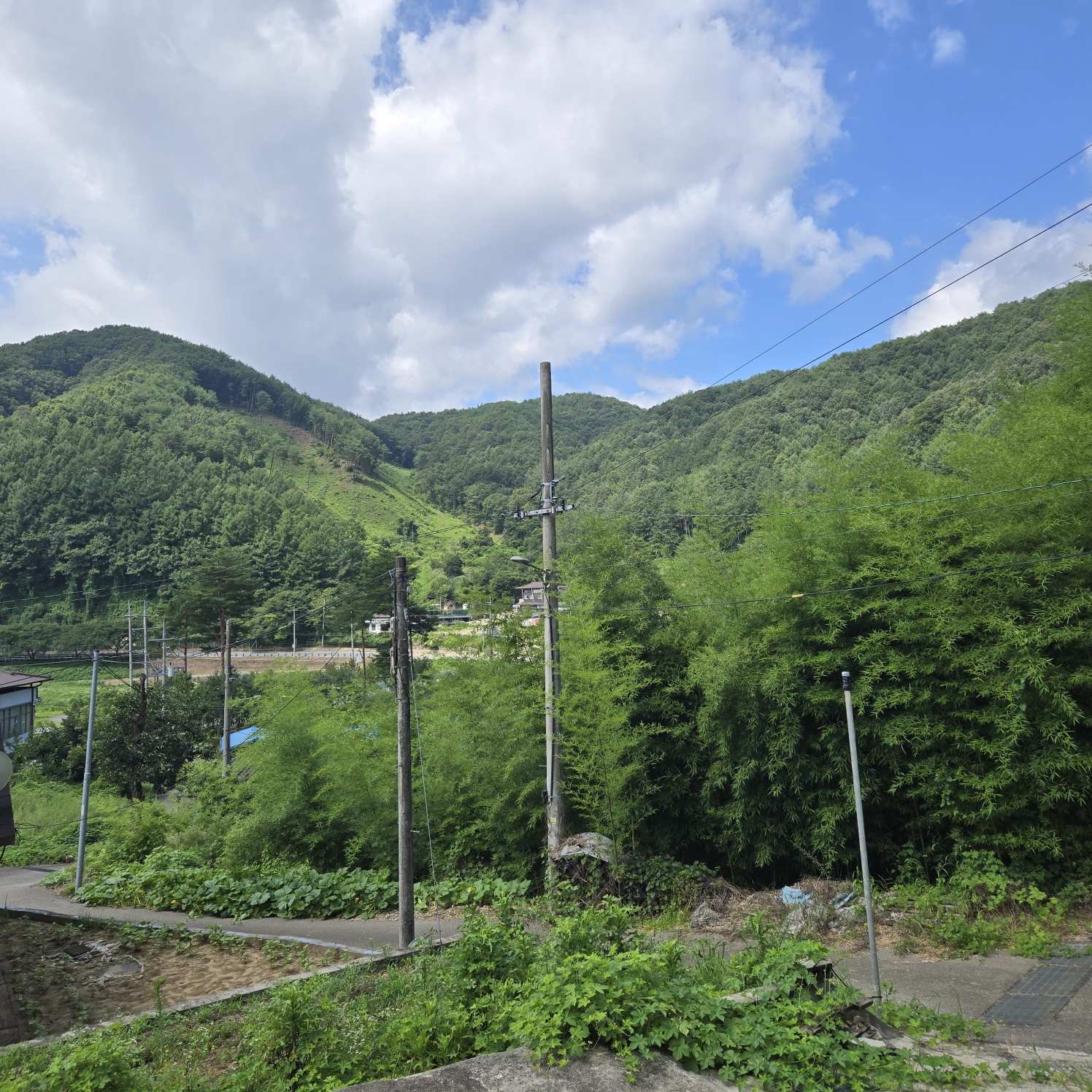 목조황토기와집매매 사진 - 11