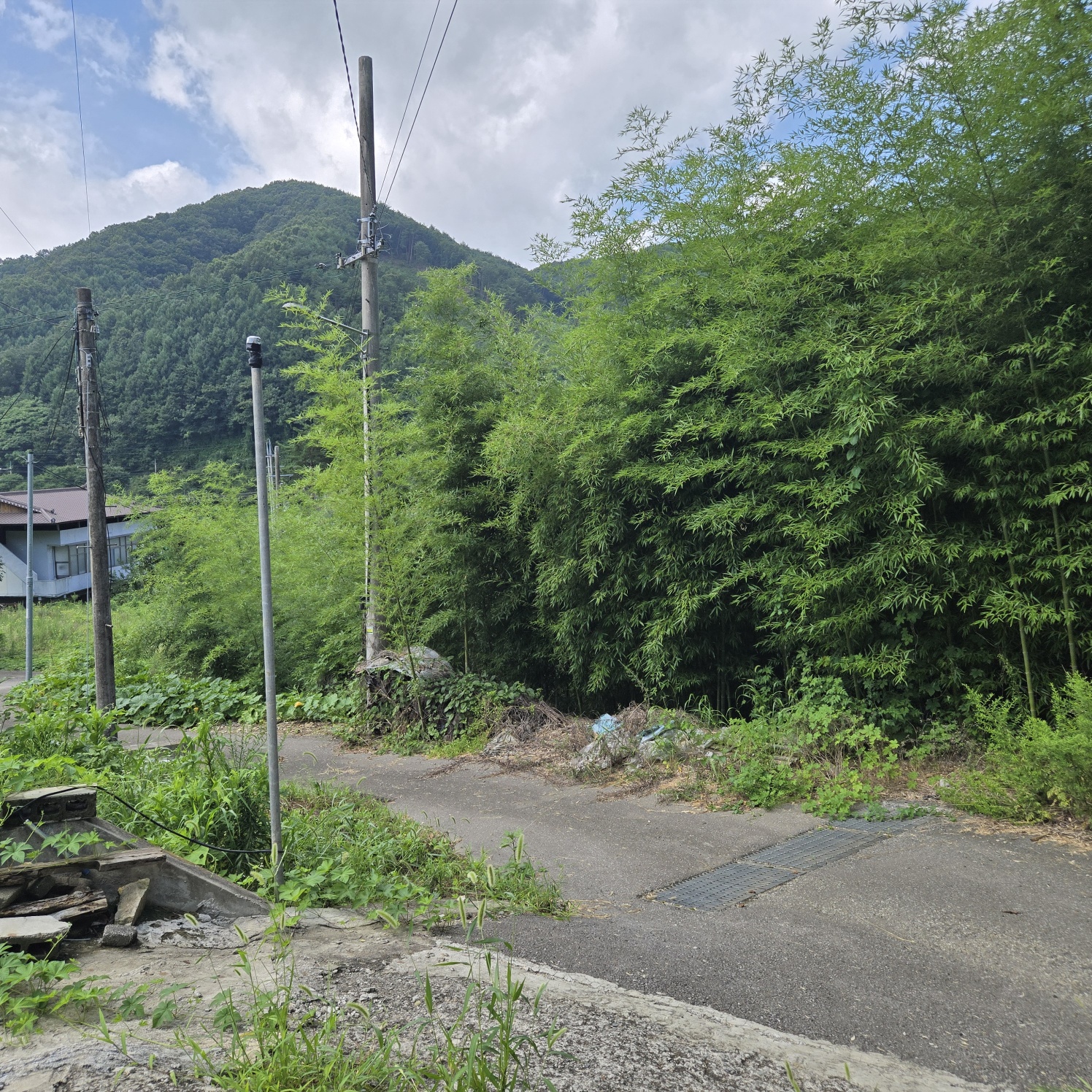 목조황토기와집매매 사진 - 12