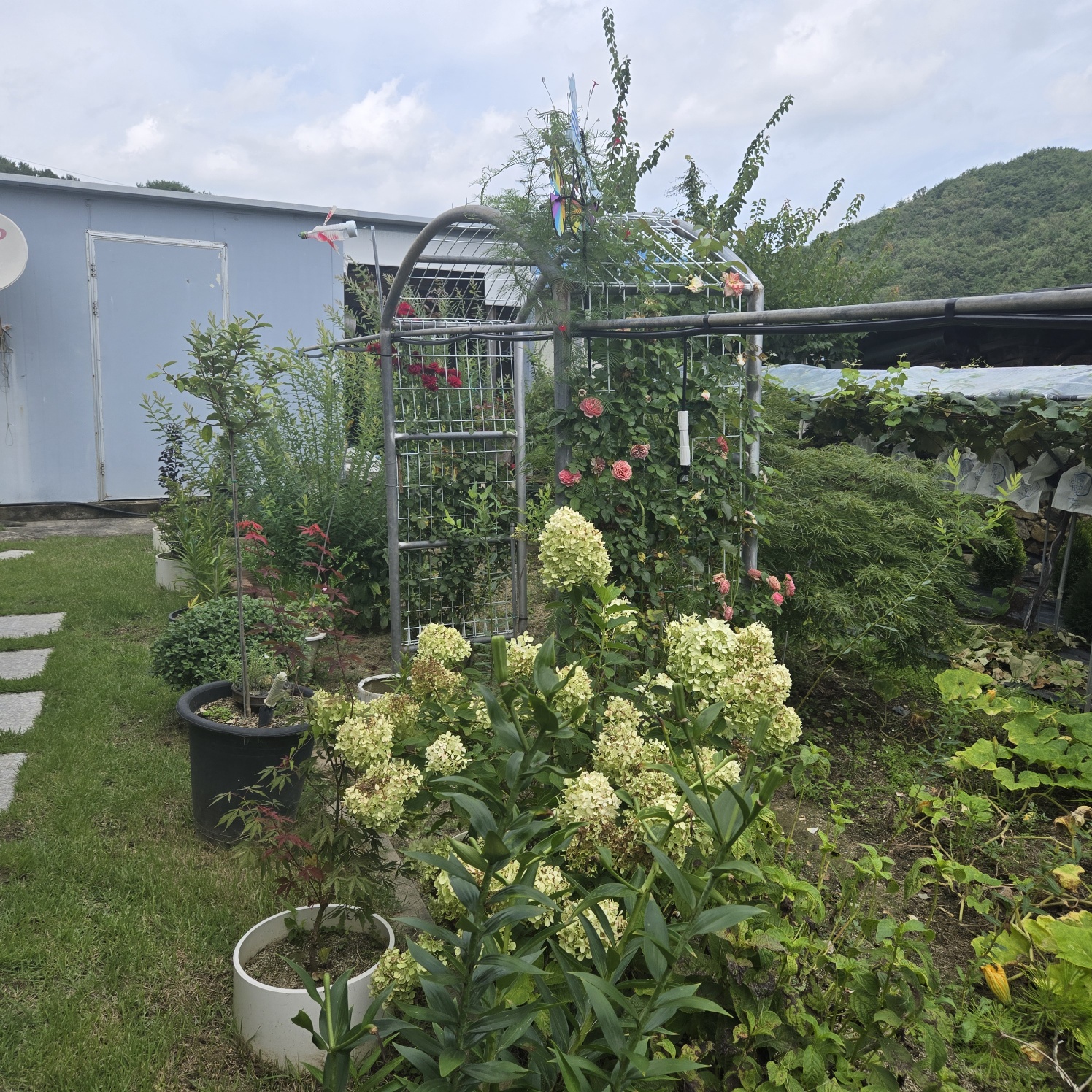 정겨운 이쁜시골집 사진 - 2