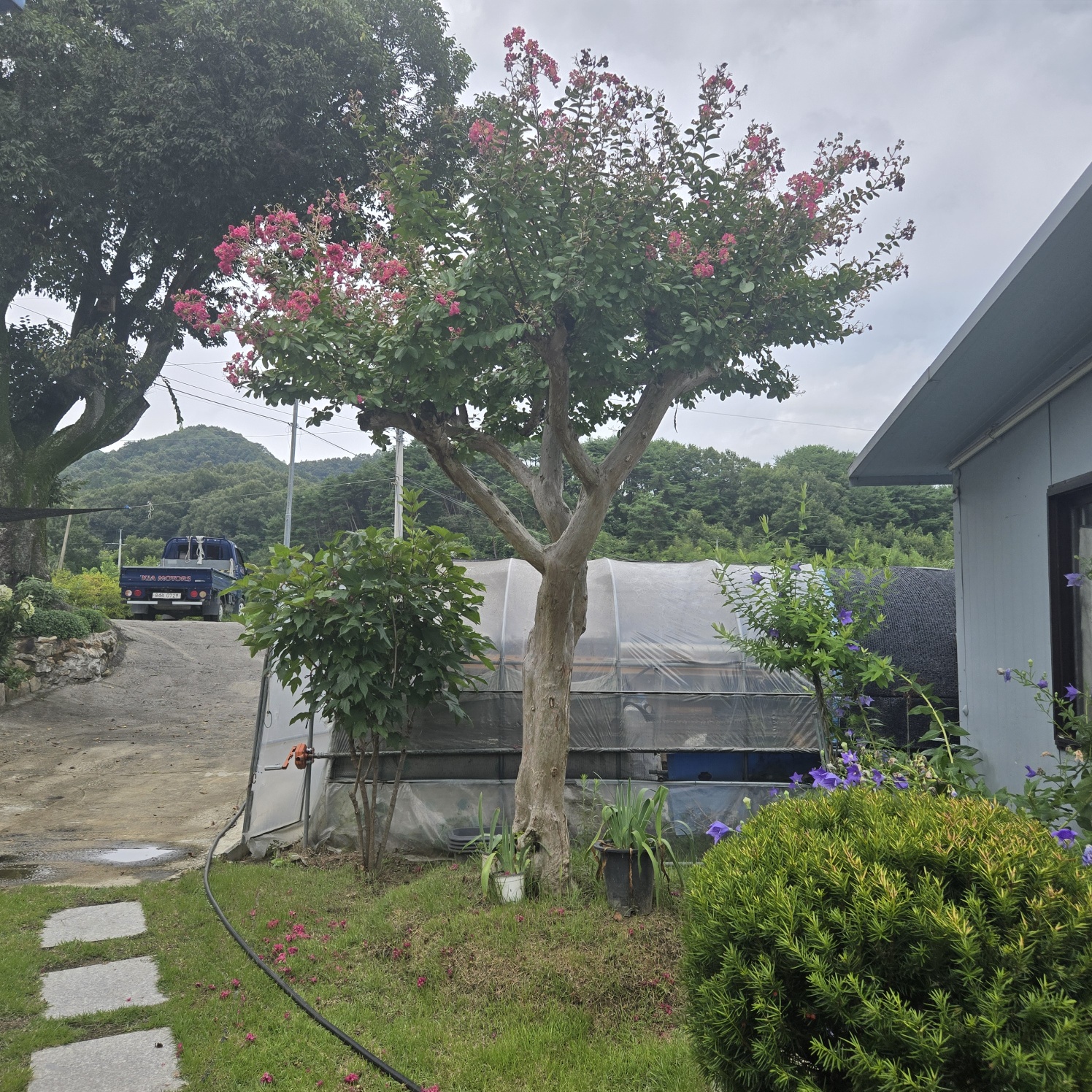 정겨운 이쁜시골집 사진 - 3