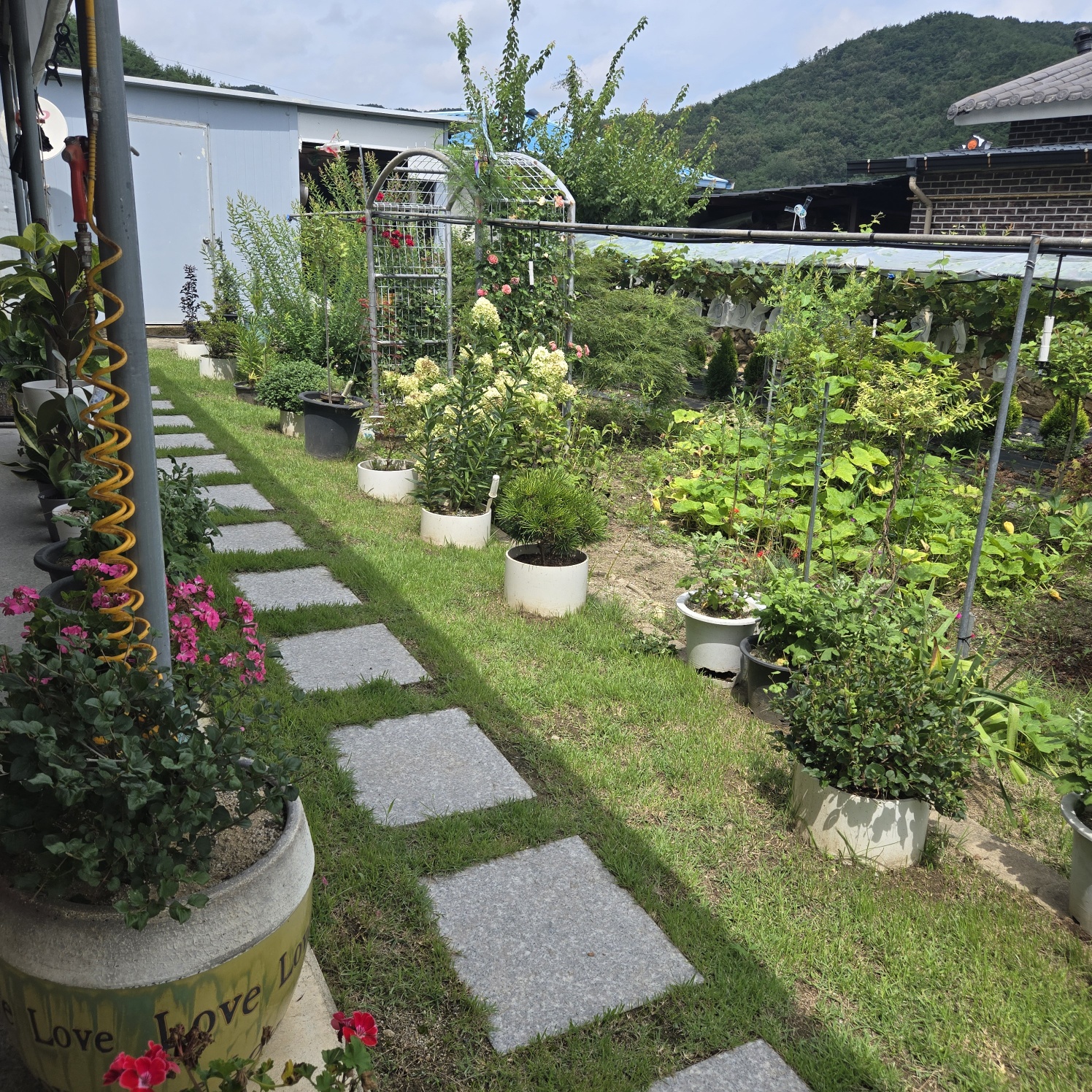 정겨운 이쁜시골집 사진 - 4