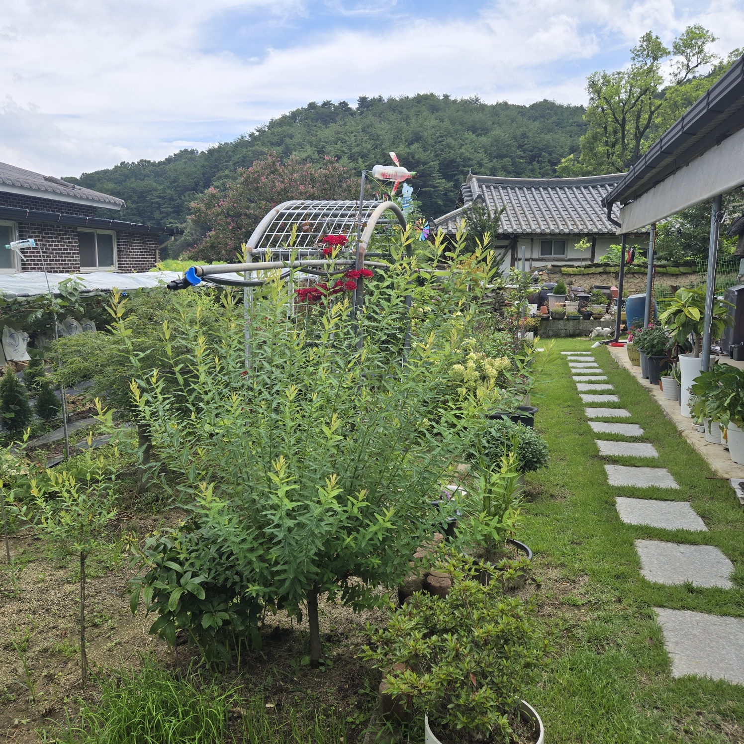 정겨운 이쁜시골집 사진 - 6