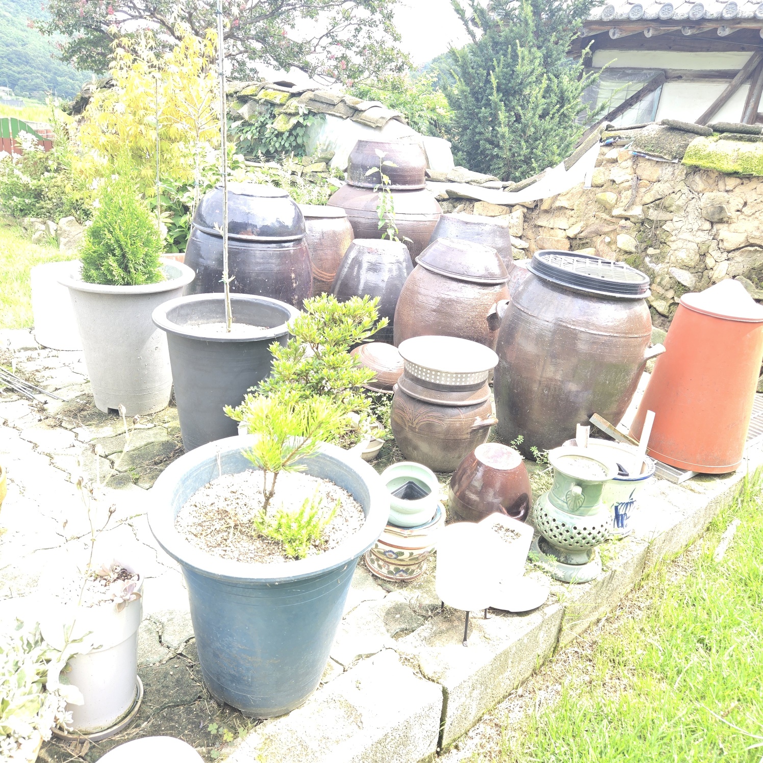 정겨운 이쁜시골집 사진 - 9