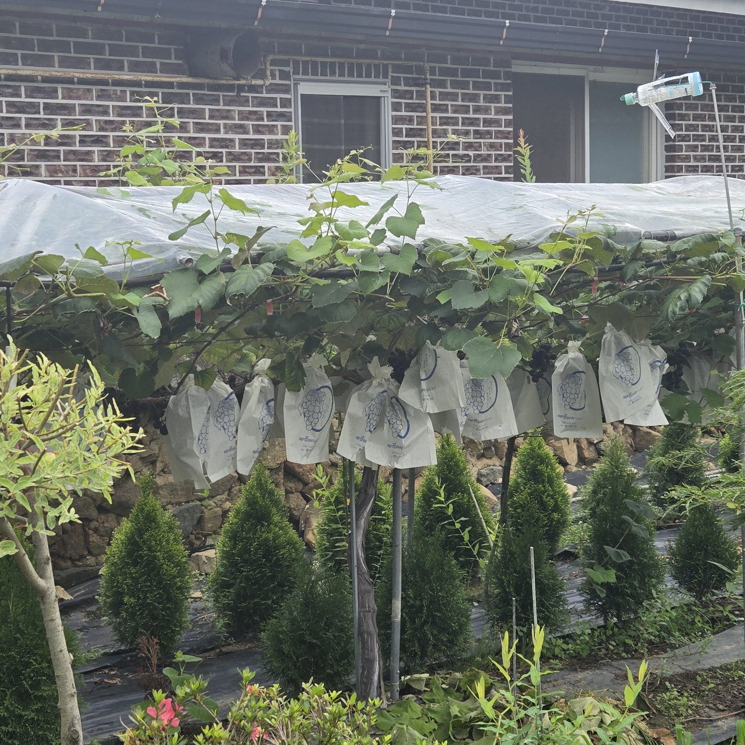 정겨운 이쁜시골집 사진 - 11