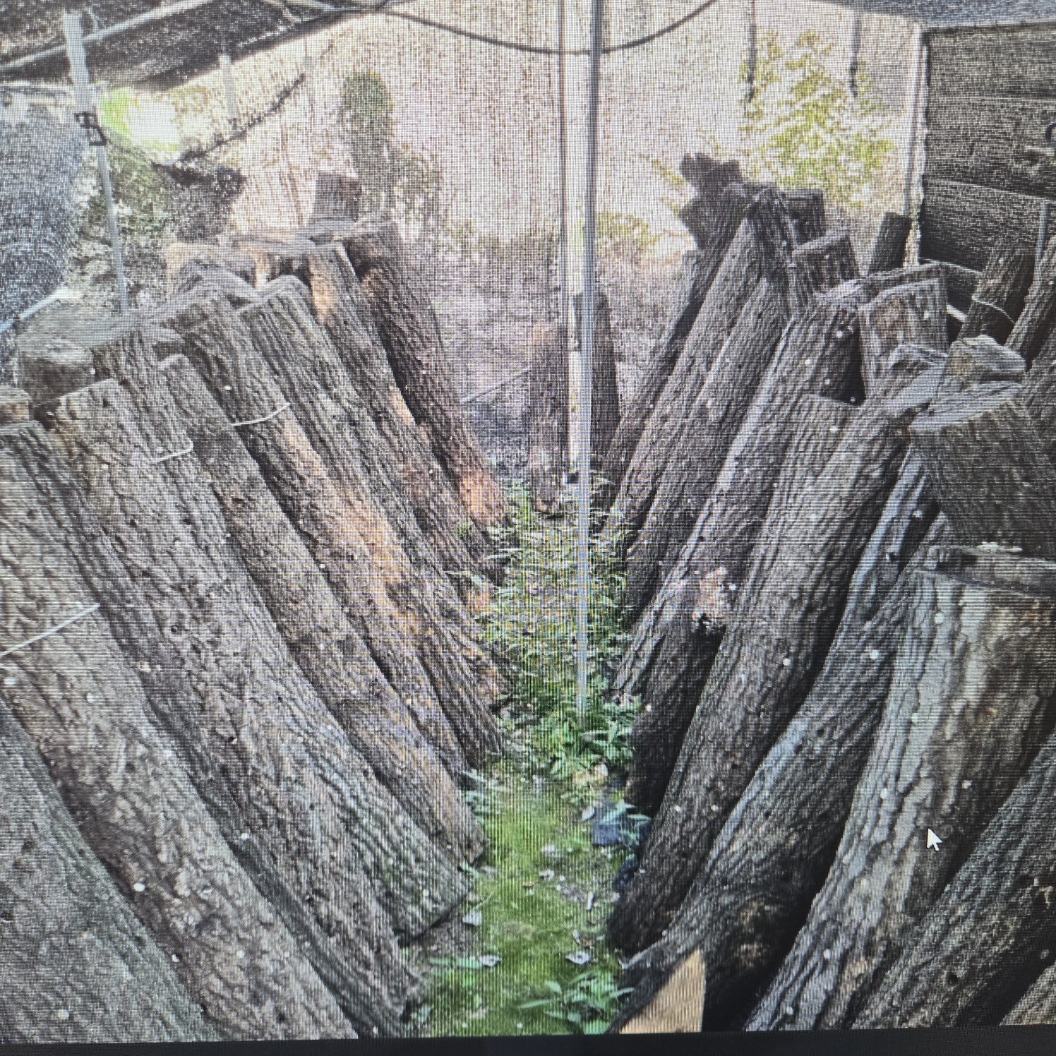 정겨운 이쁜시골집 사진 - 15