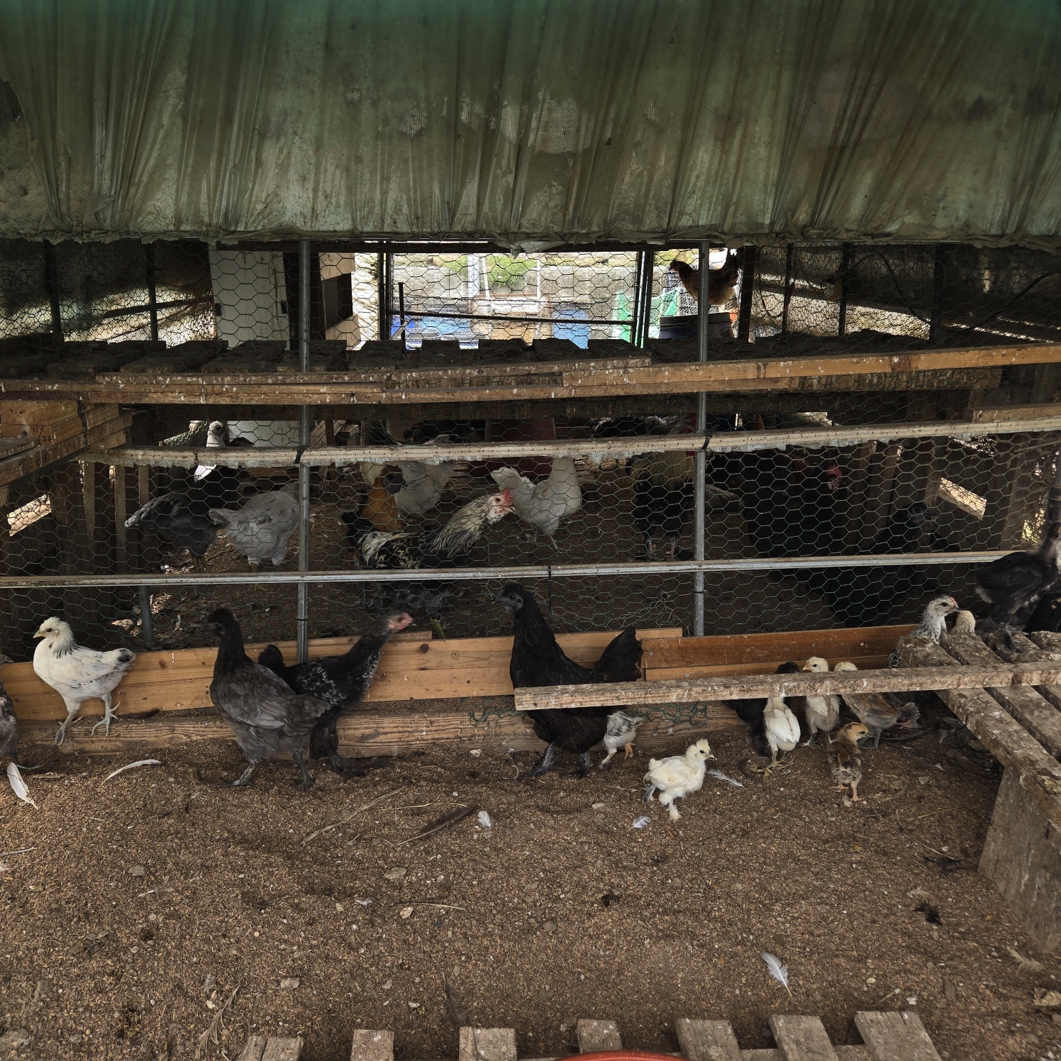 정겨운 이쁜시골집 사진 - 30