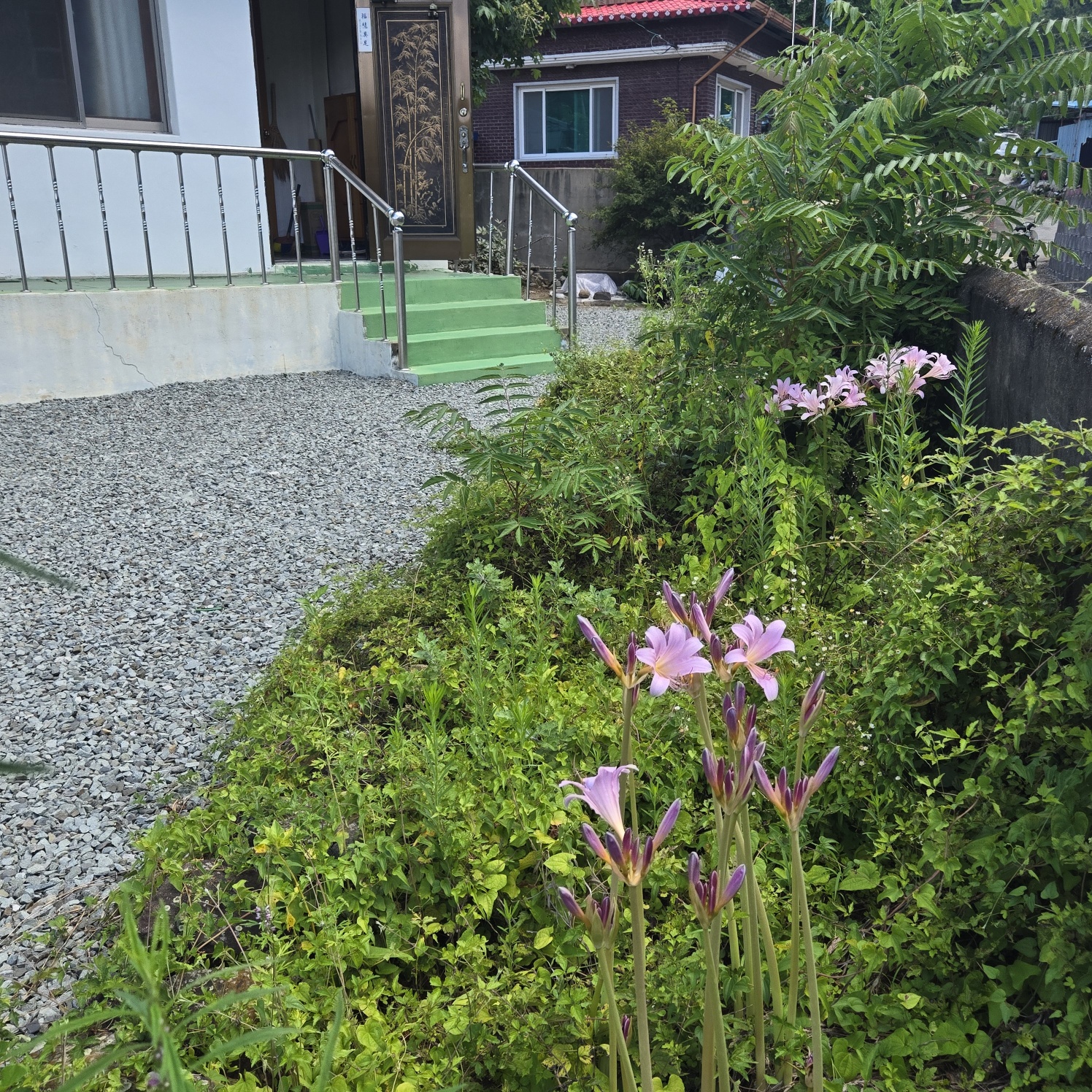 깨끗하고싼 슬라브주택 사진 - 13