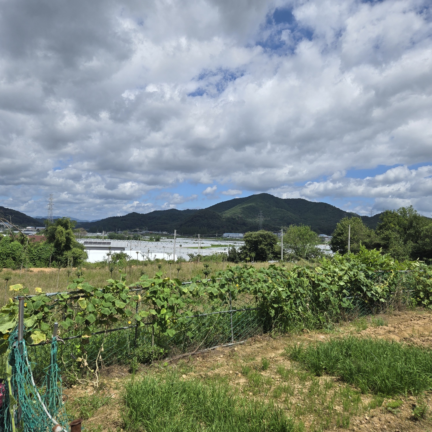 다사 15분 쉼터텃밭 사진 - 6