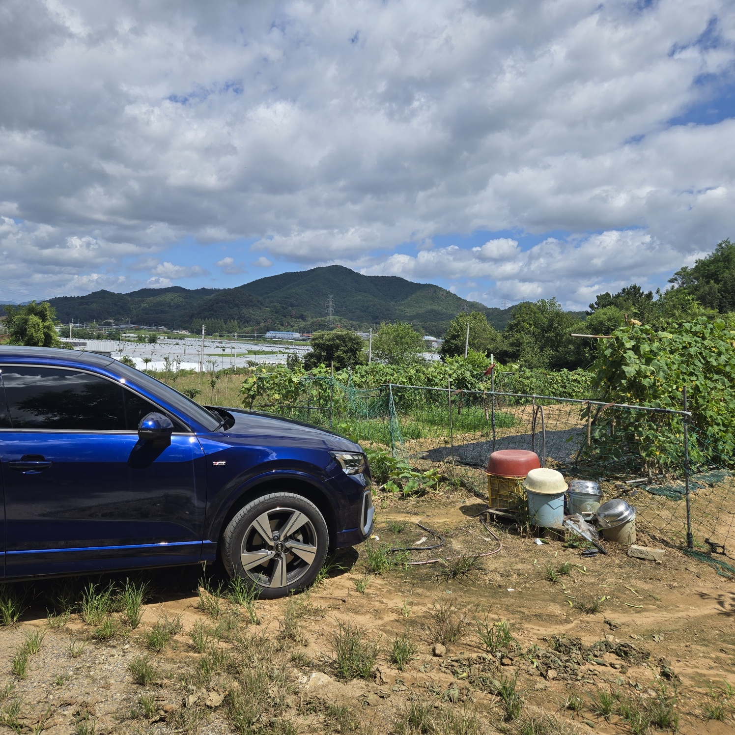 다사 15분 쉼터텃밭 사진 - 11