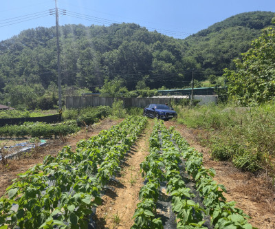 조용하고 공기좋은곳. 매물 이미지