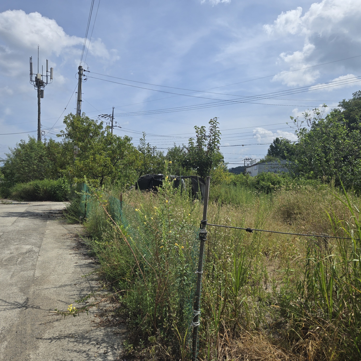 성주읍 쉼터텃밭 주택지 사진 - 2