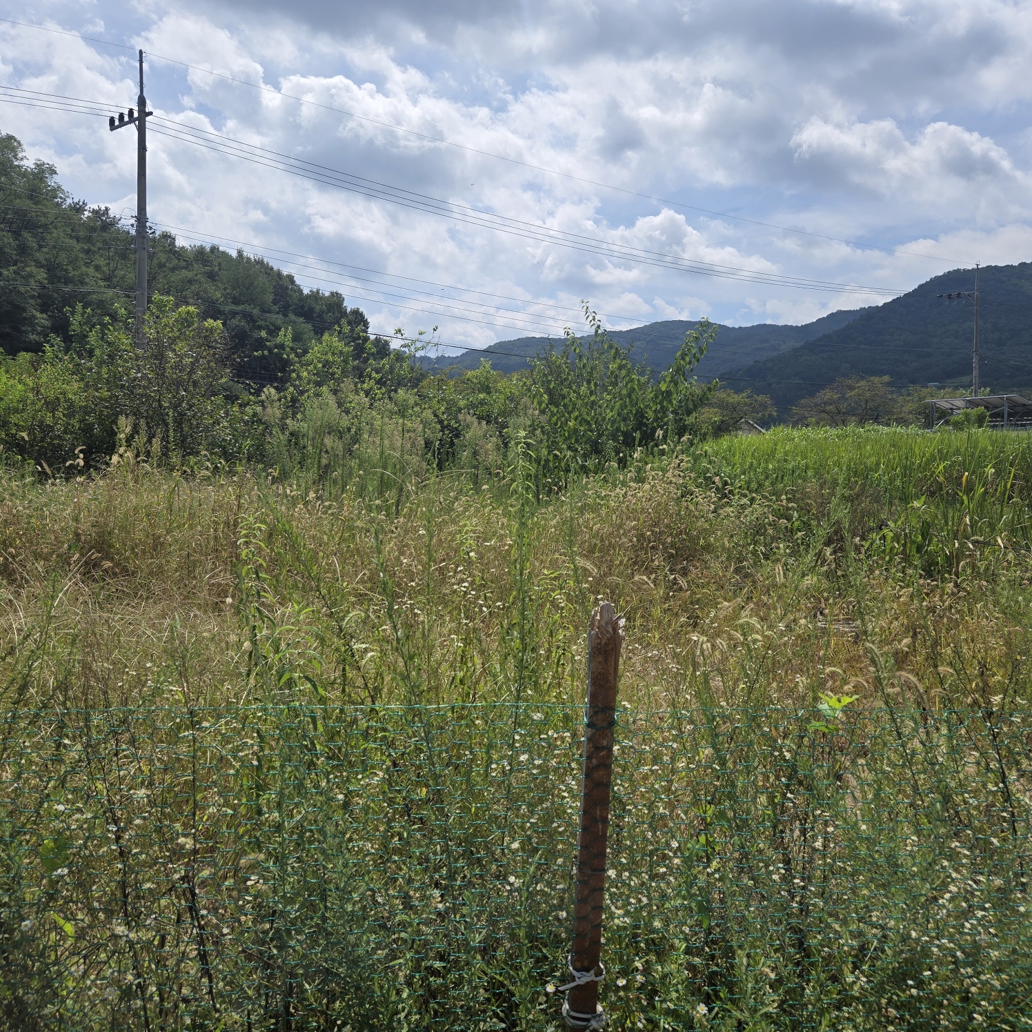 성주읍 쉼터텃밭 주택지 사진 - 3