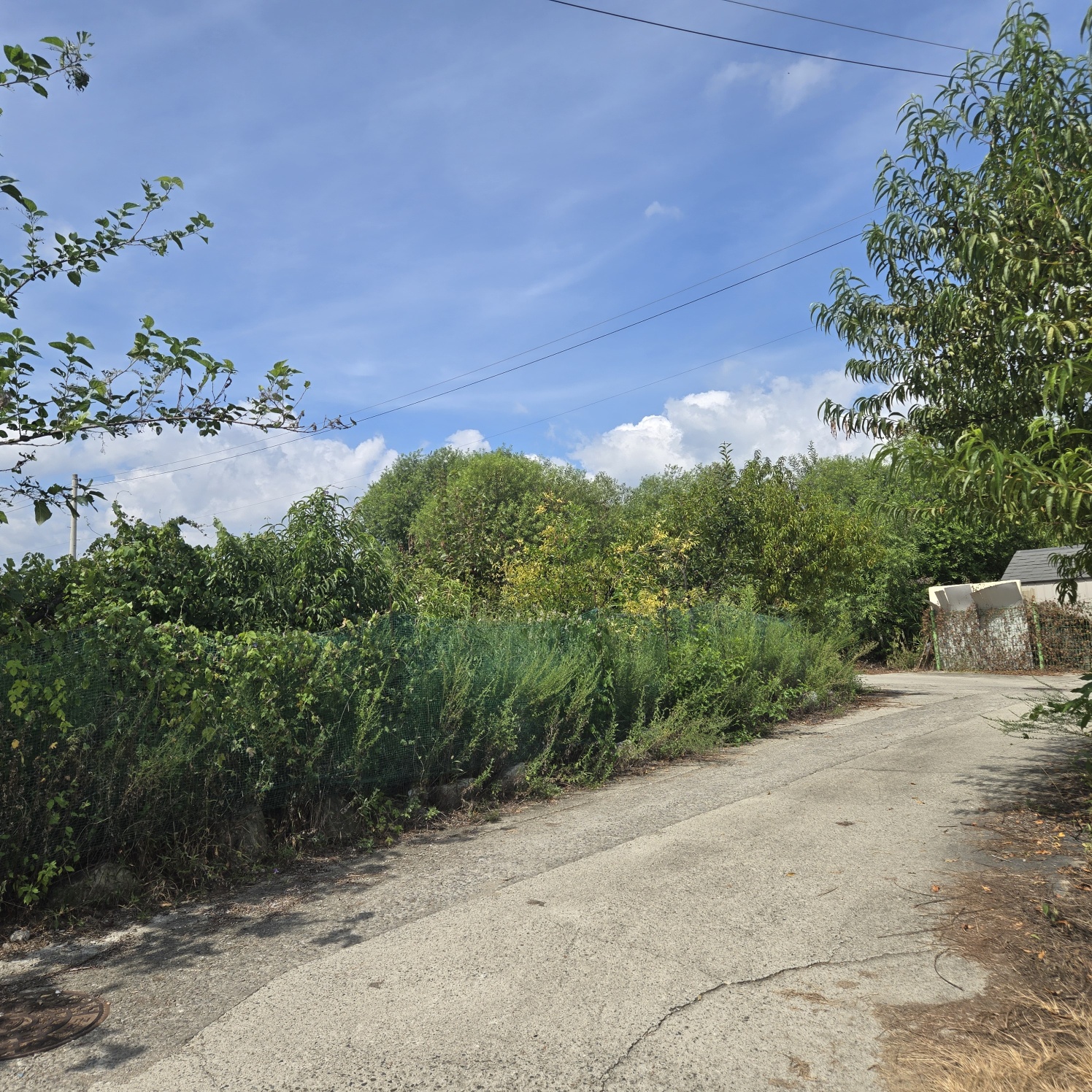 성주읍 쉼터텃밭 주택지 사진 - 6