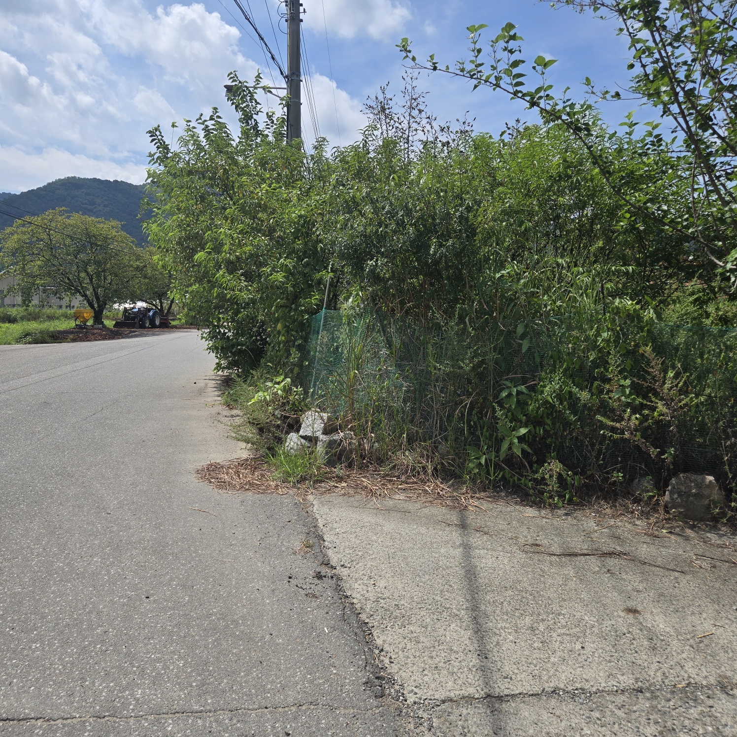 성주읍 쉼터텃밭 주택지 사진 - 8