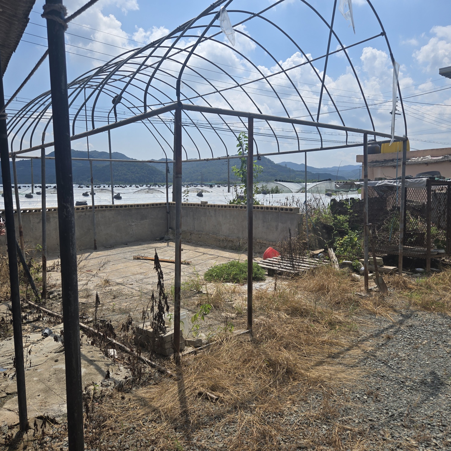 용암면 대구근교촌집매매 사진 - 6